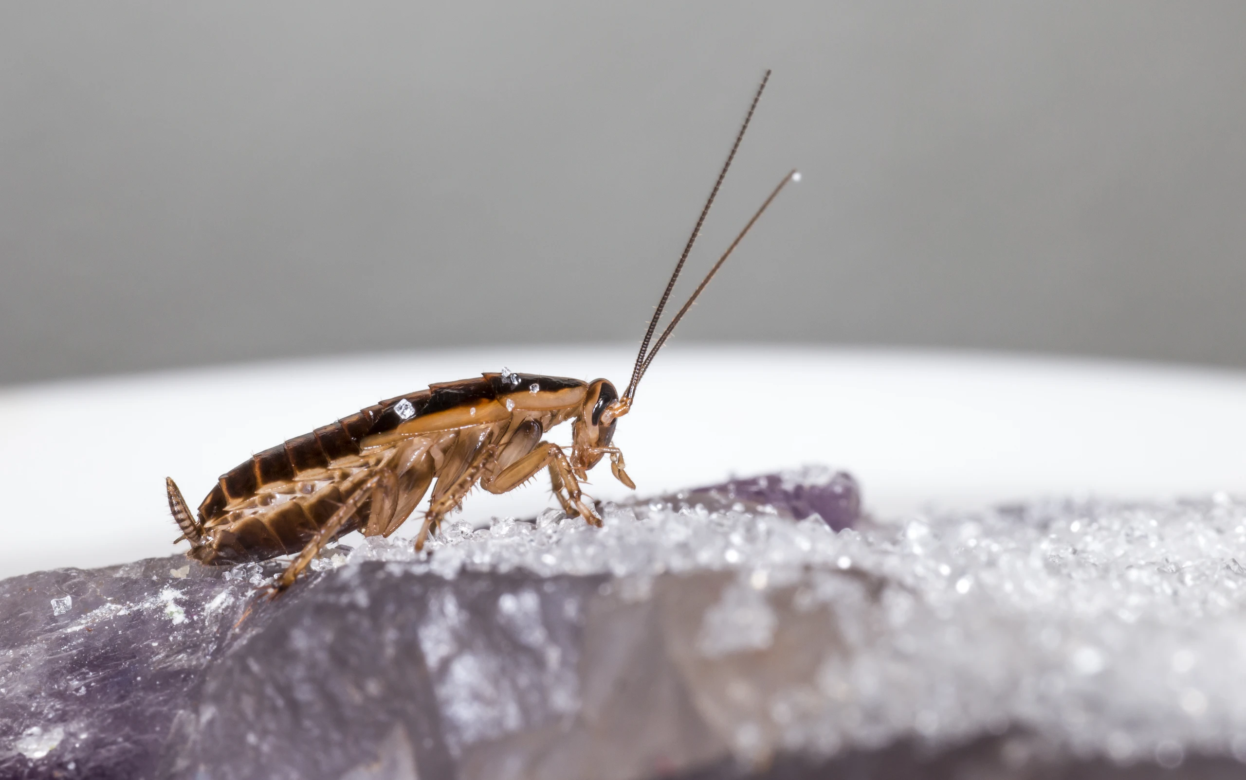 © Shutterstock.com Blurred image background