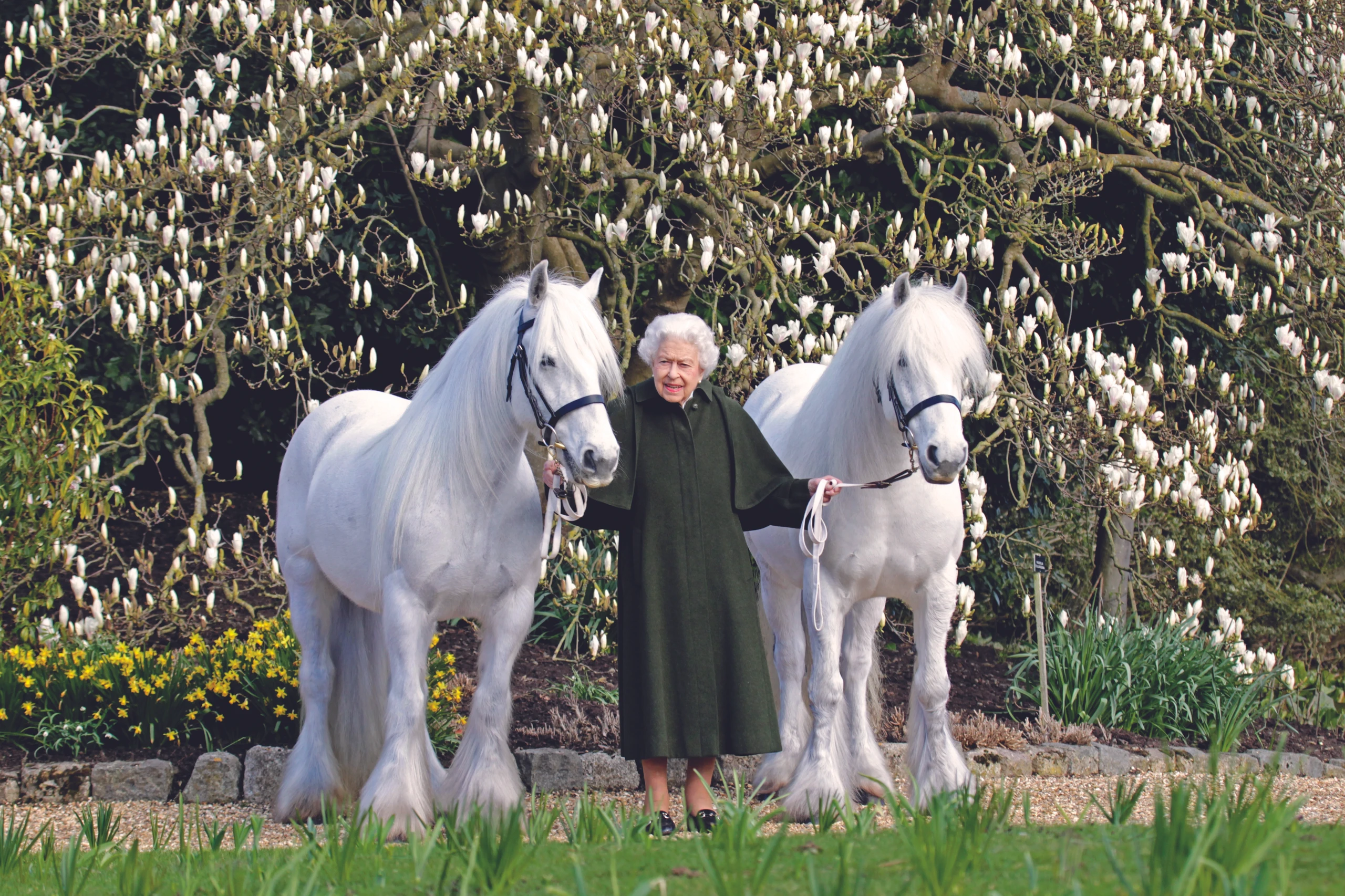 © 2022 The Royal Windsor Horse Show/Getty Images Blurred image background