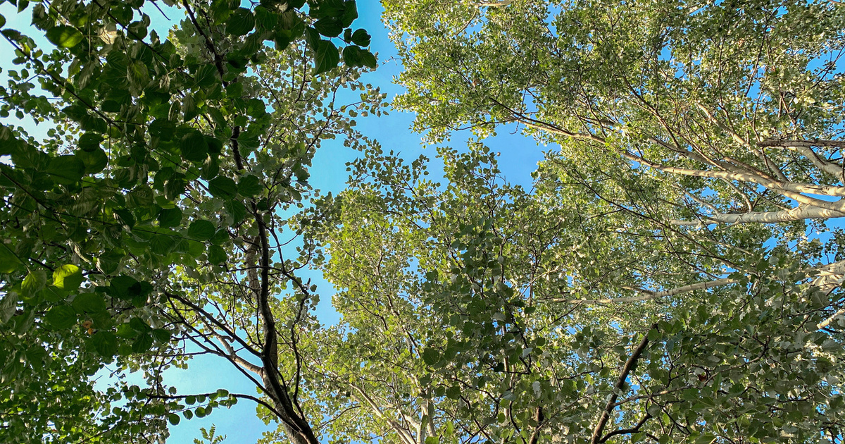 Wie Klima und Klimawandel das Wetter beeinflussen