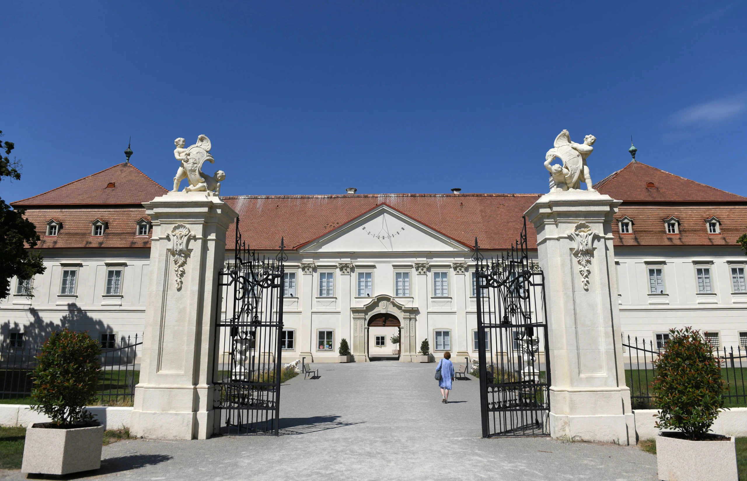 Blurred image background