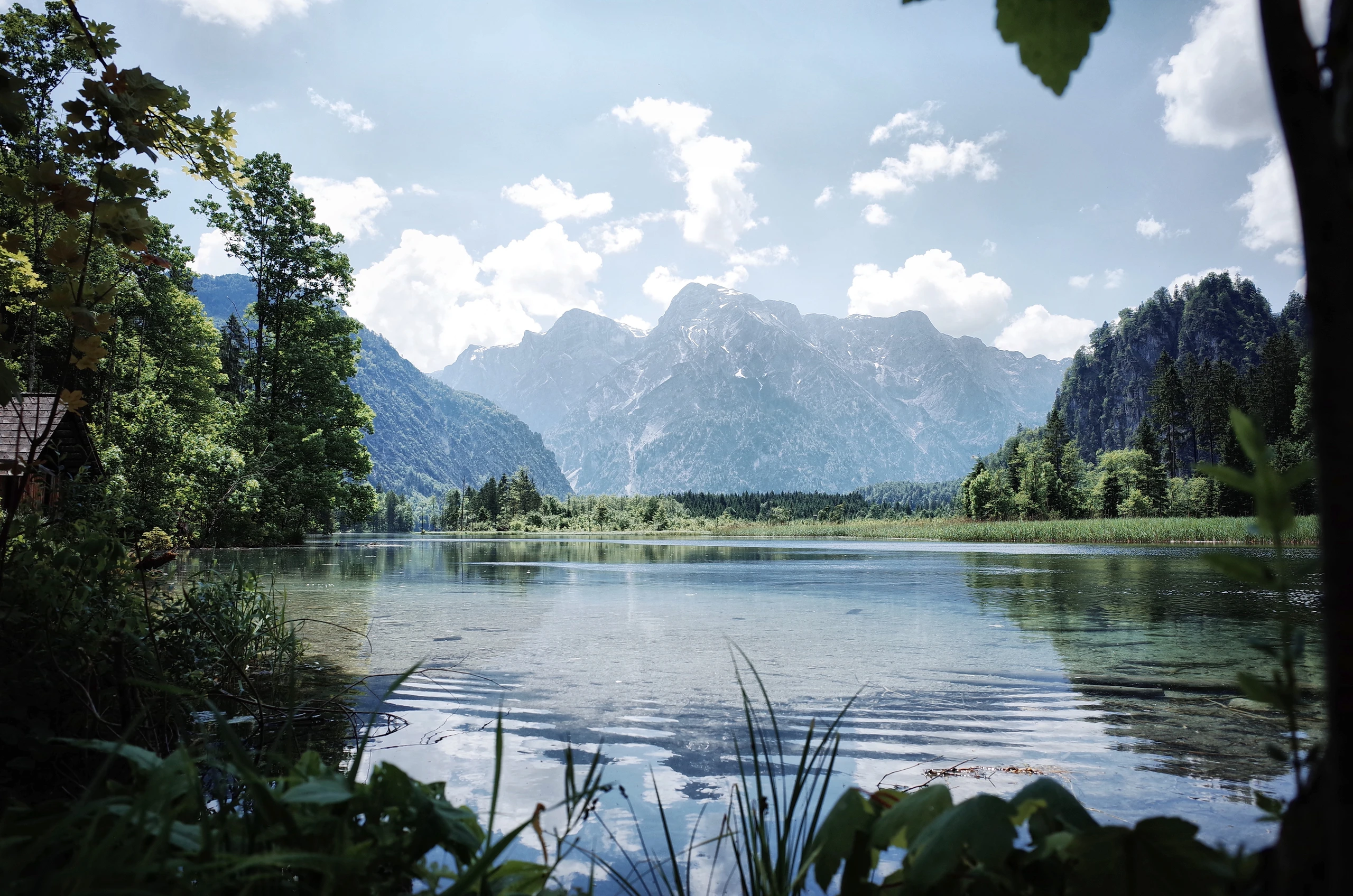 © Matthias Steinbrecher/Wikipedia Blurred image background