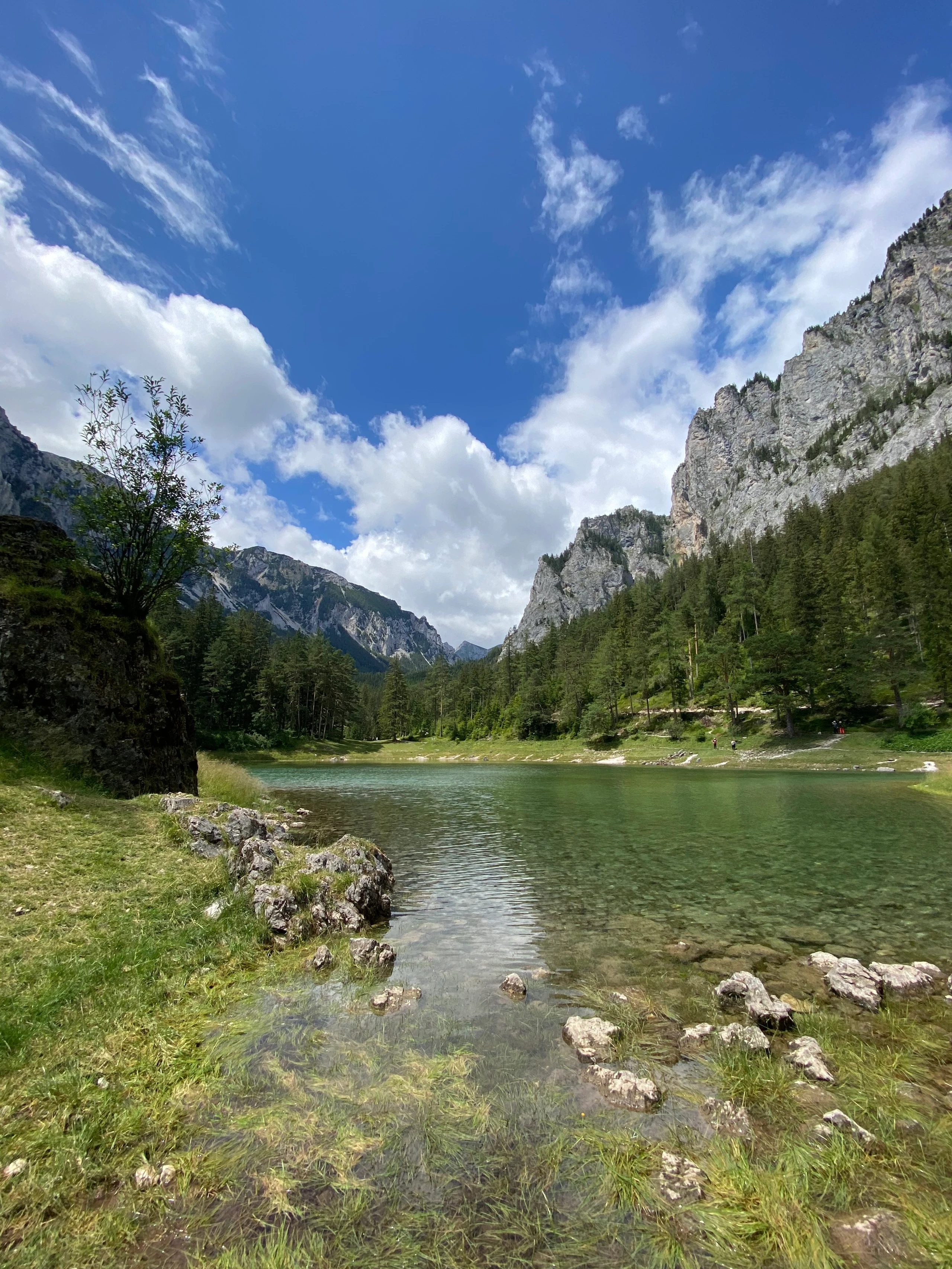 © Jennifer Hauska Blurred image background