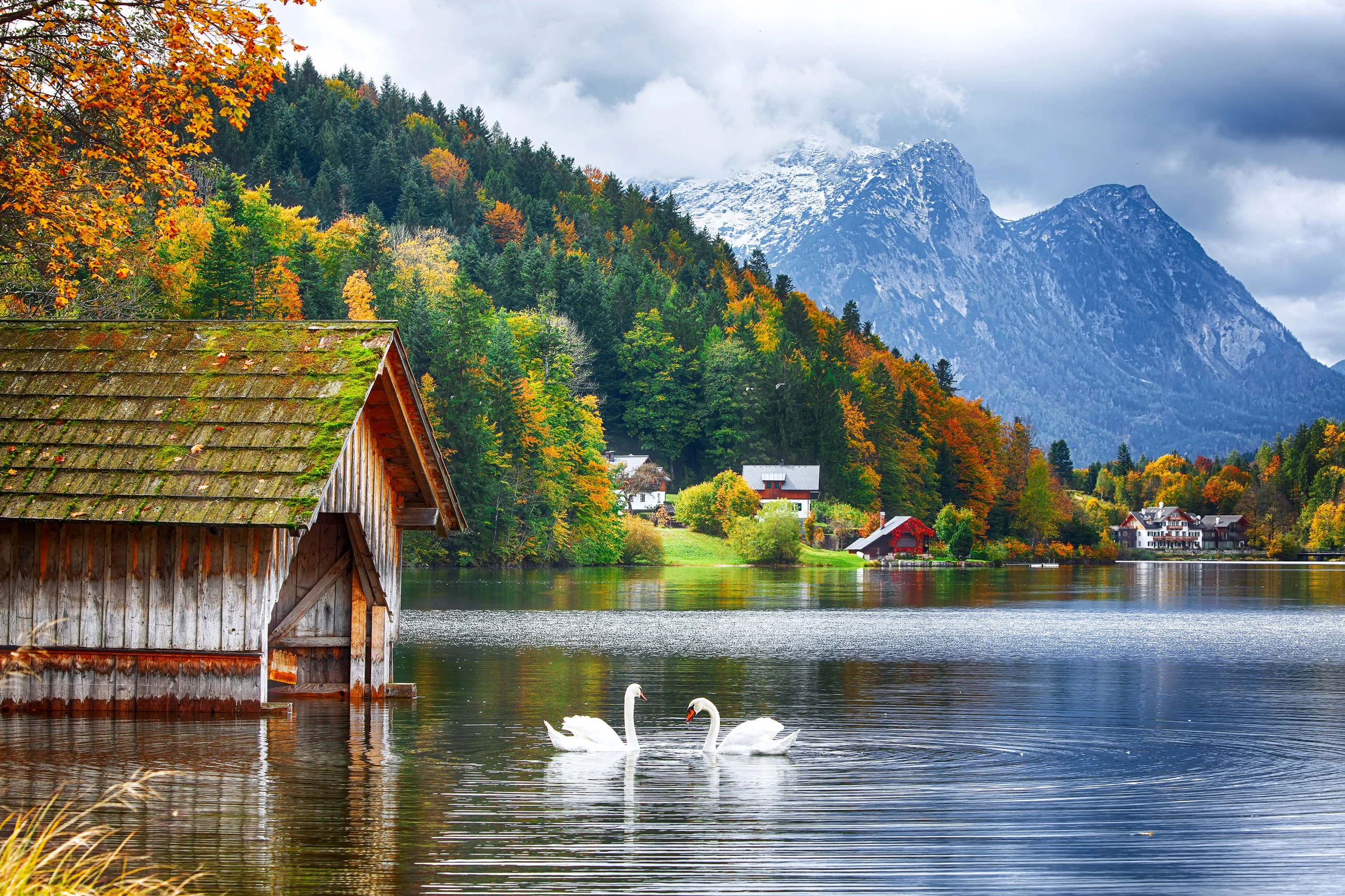 © Shutterstock.com Blurred image background