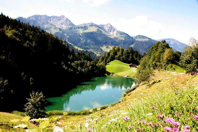 © Verein Großes Walsertal Blurred image background