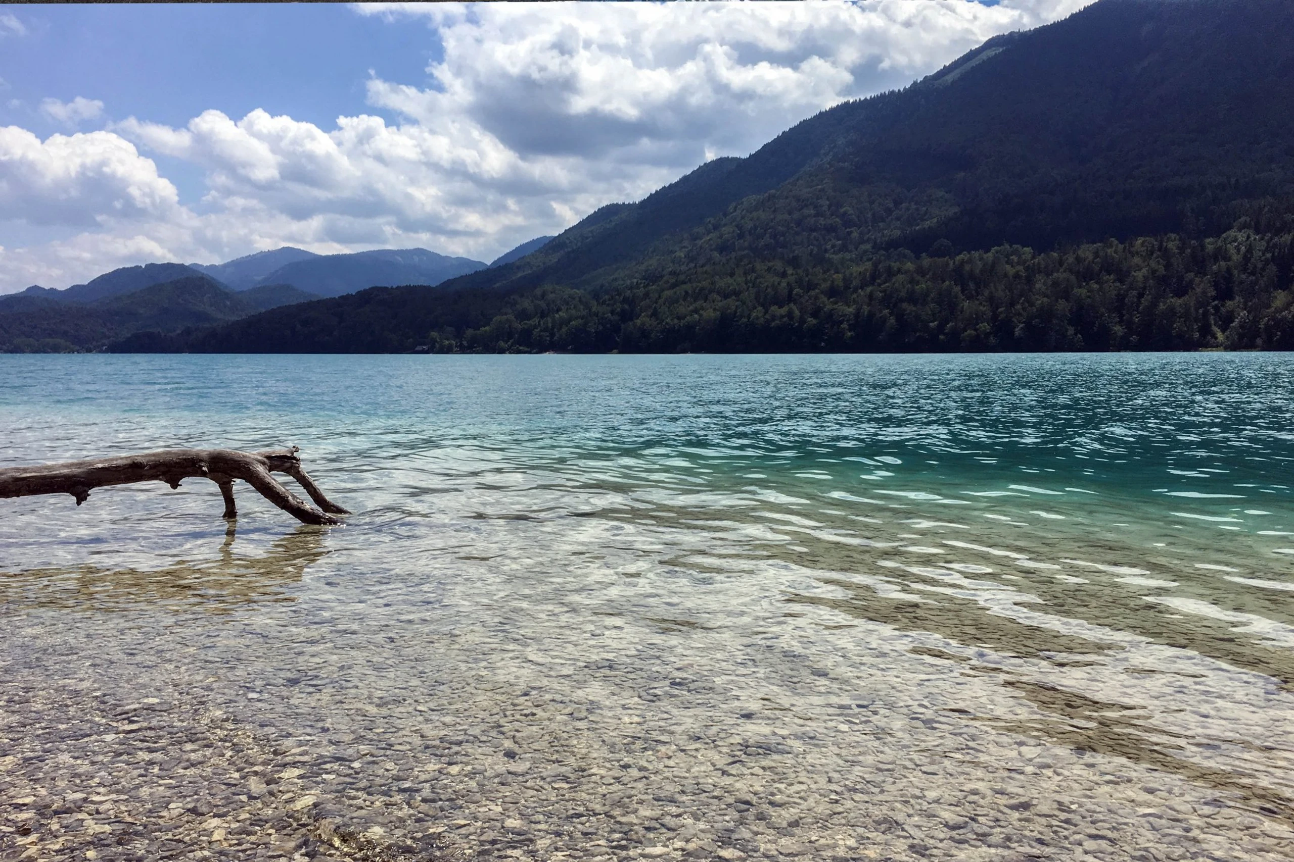 Blurred image background