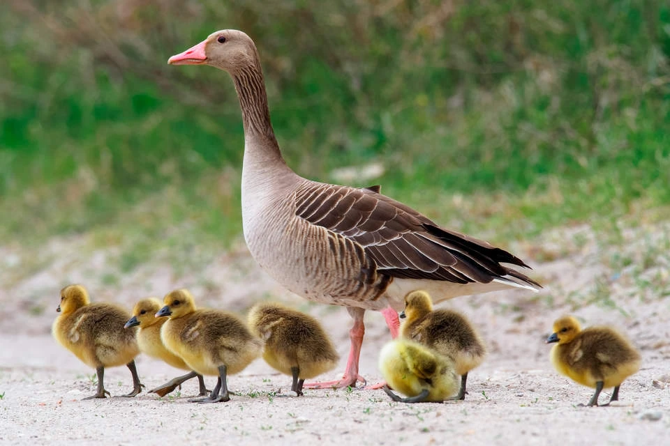 © Shutterstock.com Blurred image background