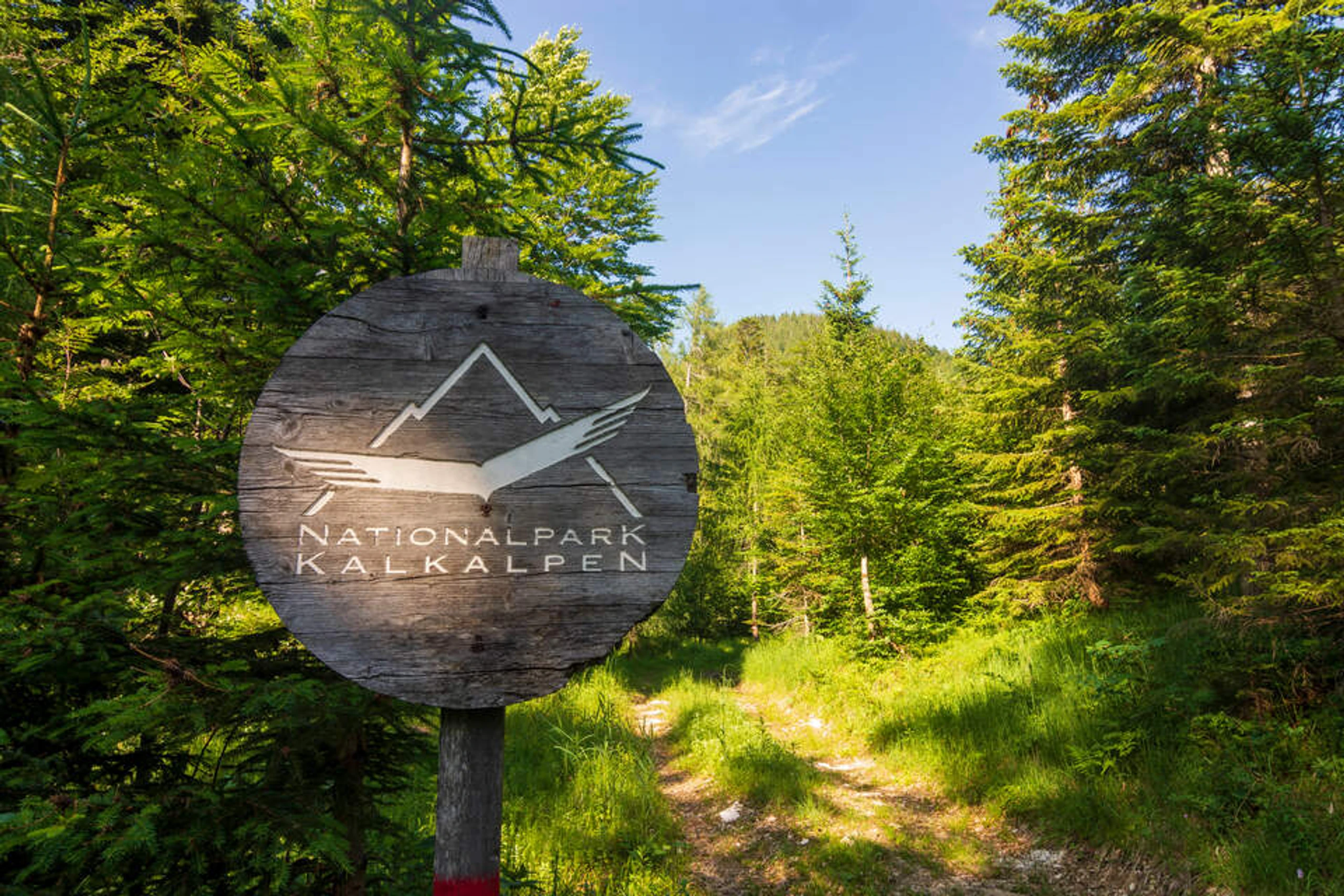 Blurred image background