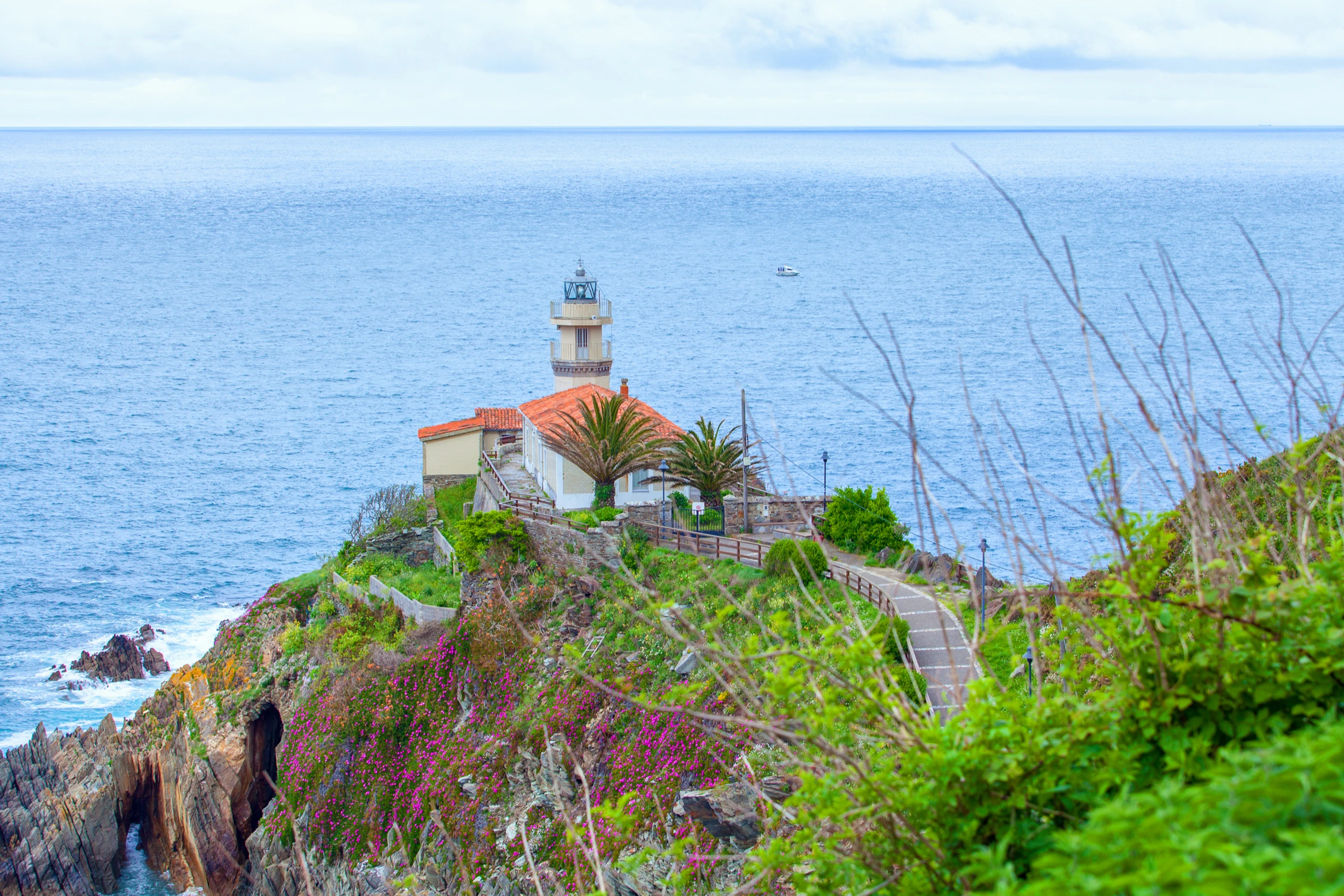 Blurred image background