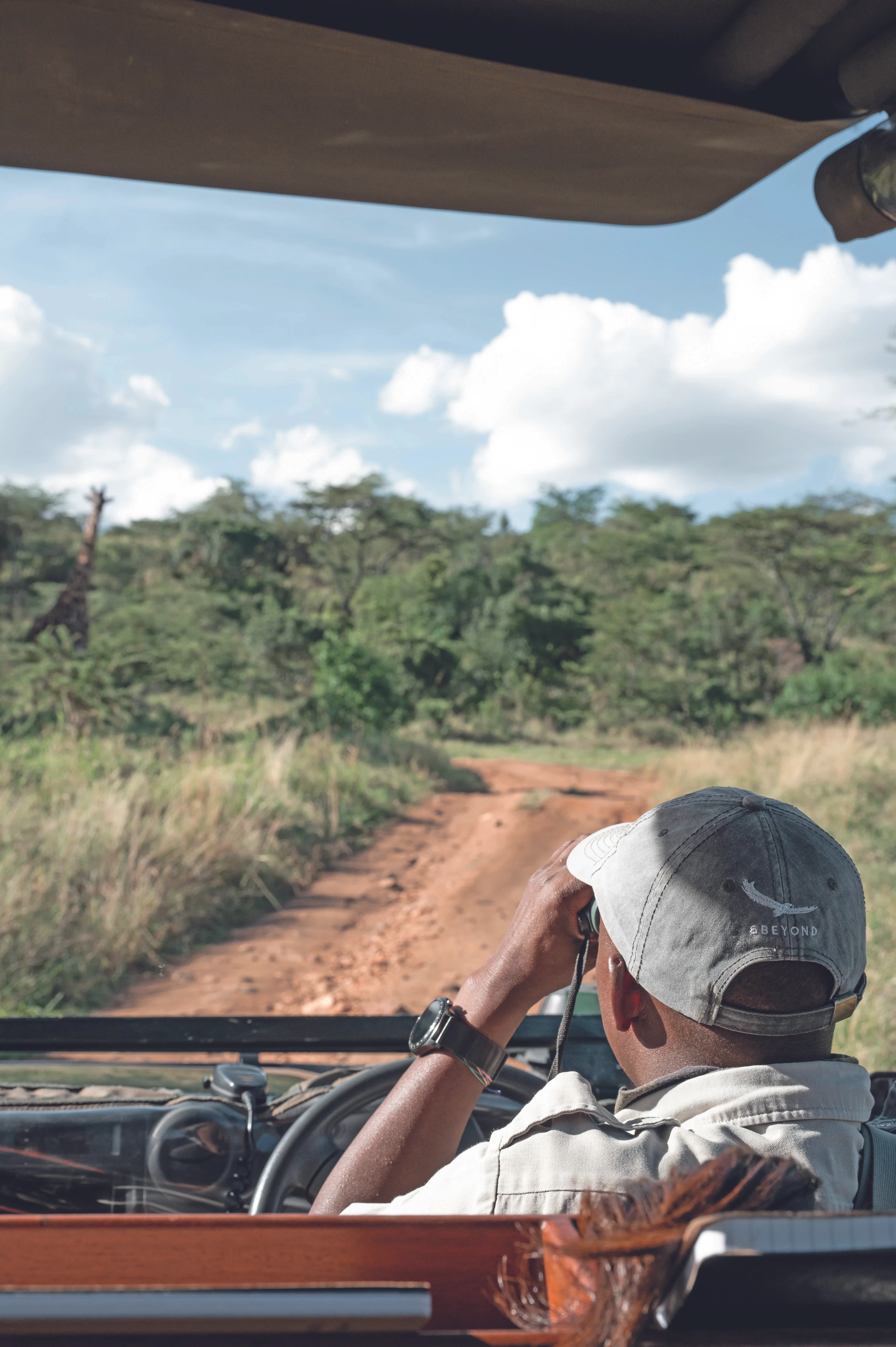 Blurred image background