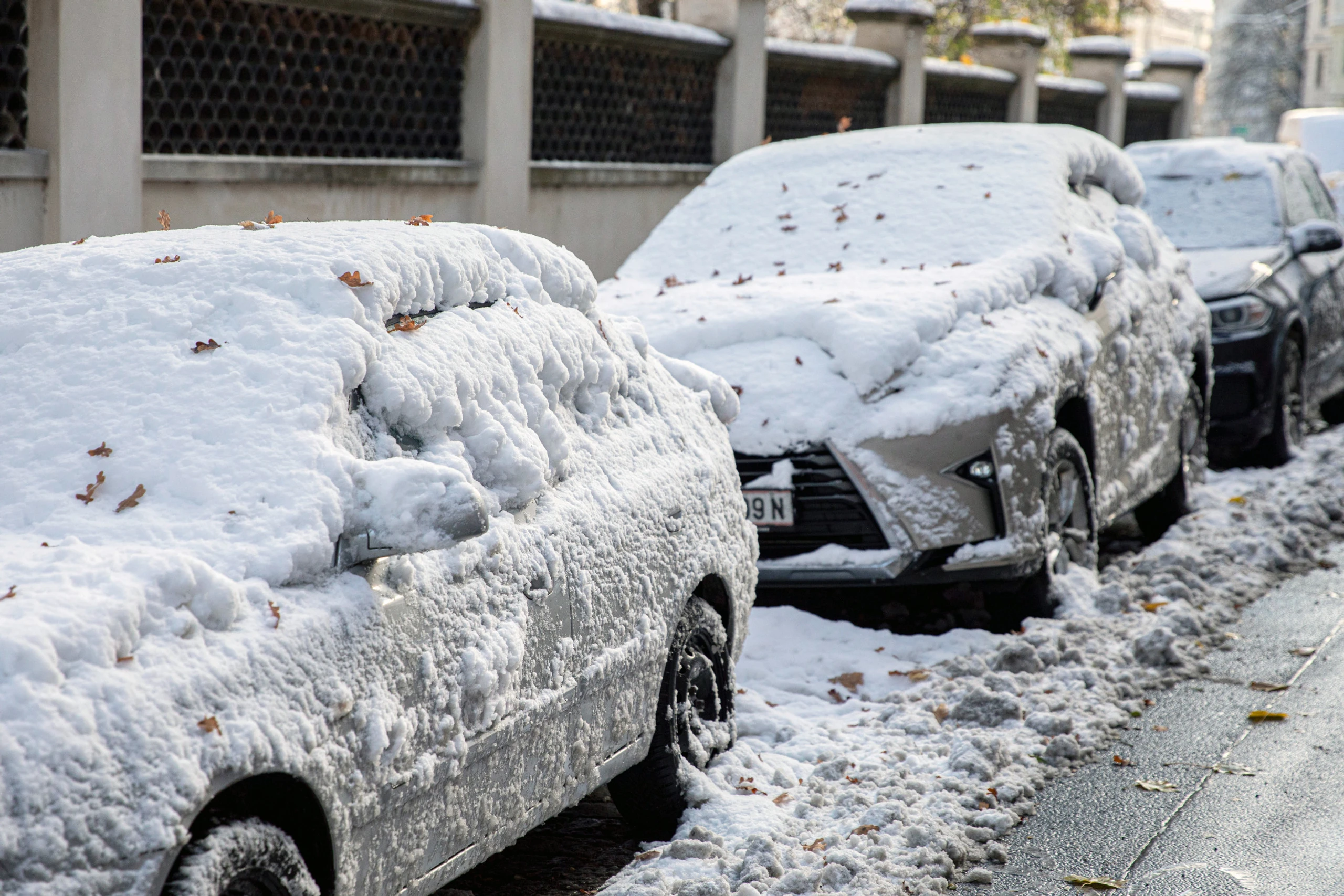 Blurred image background