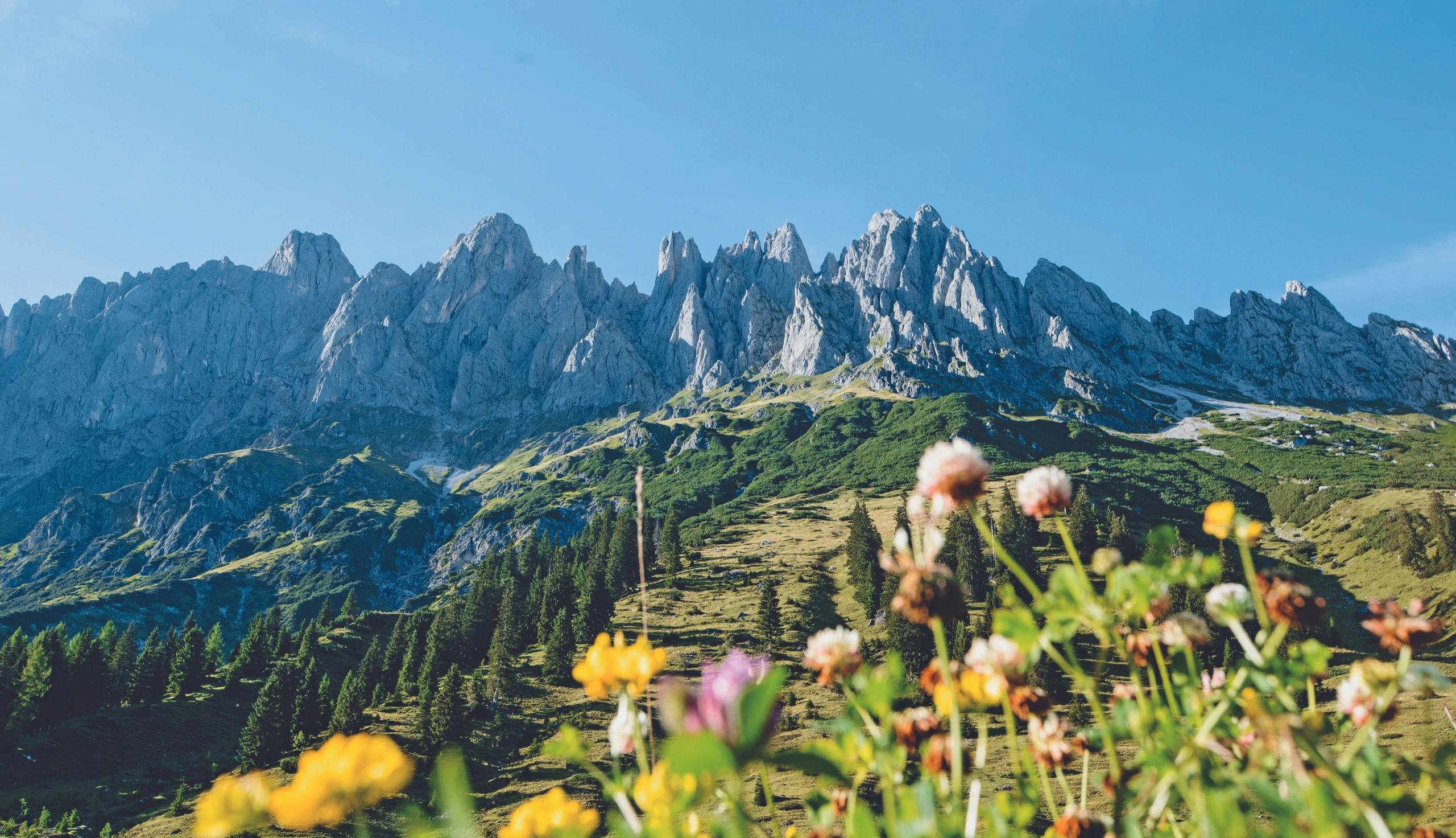 Reisen - Europas schönste Weitwanderwege