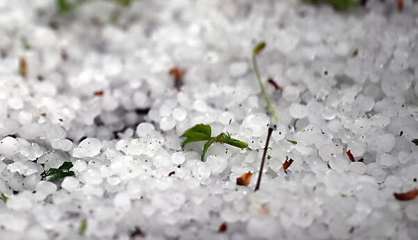 Schwere Hagel-Schäden in Tiroler Landwirtschaft
