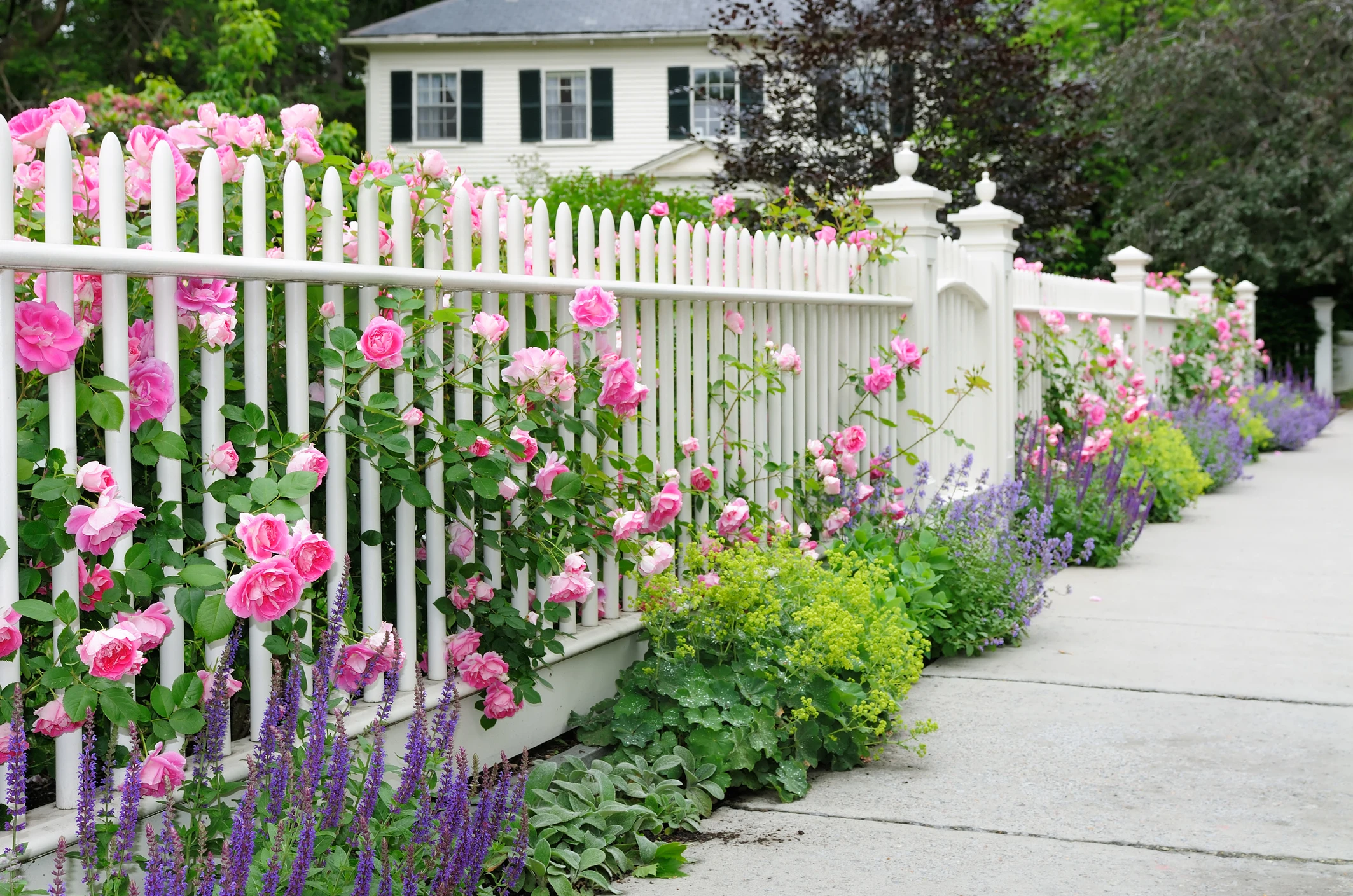 © iStockphoto.com Blurred image background