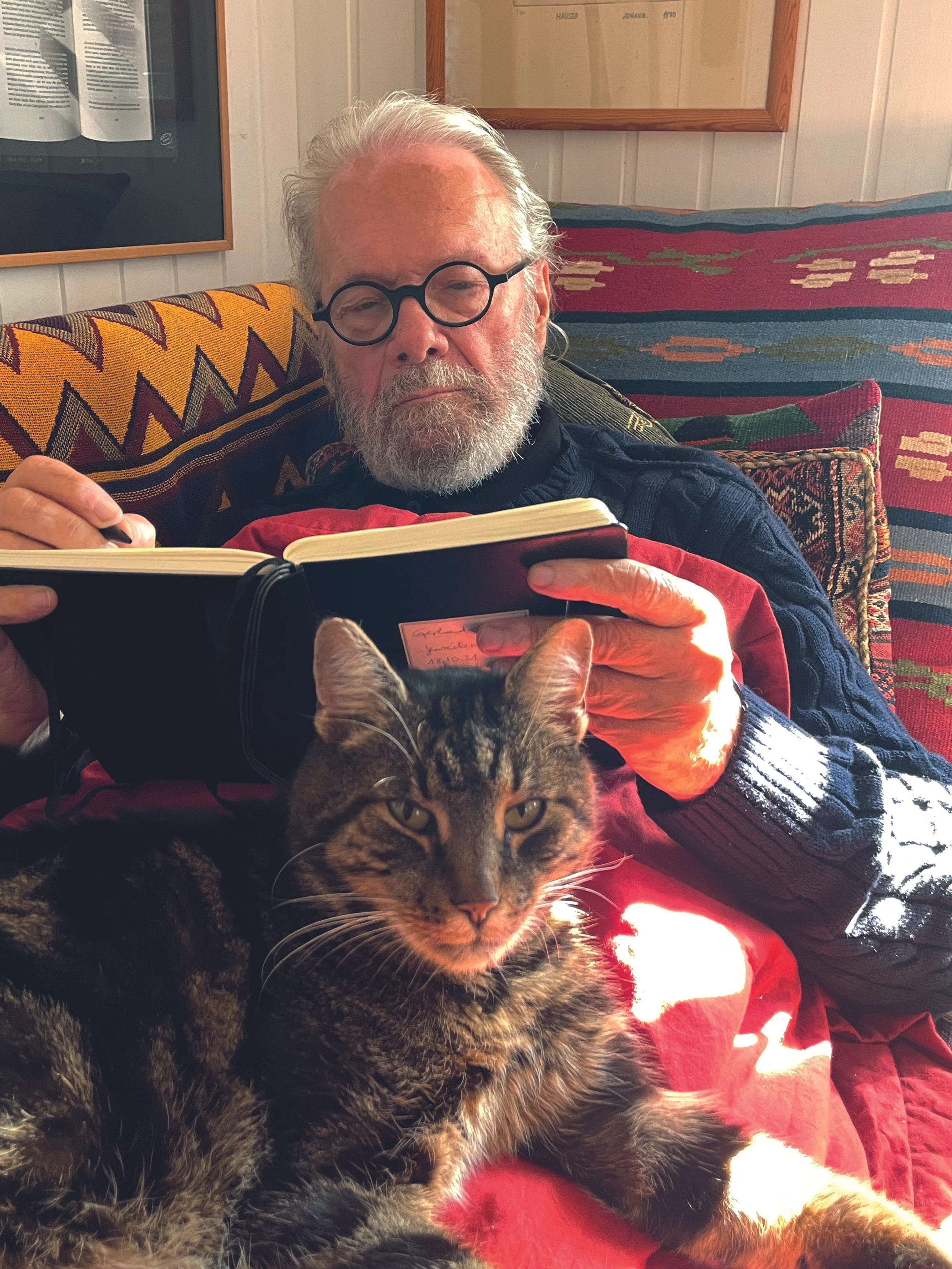 Blurred image background