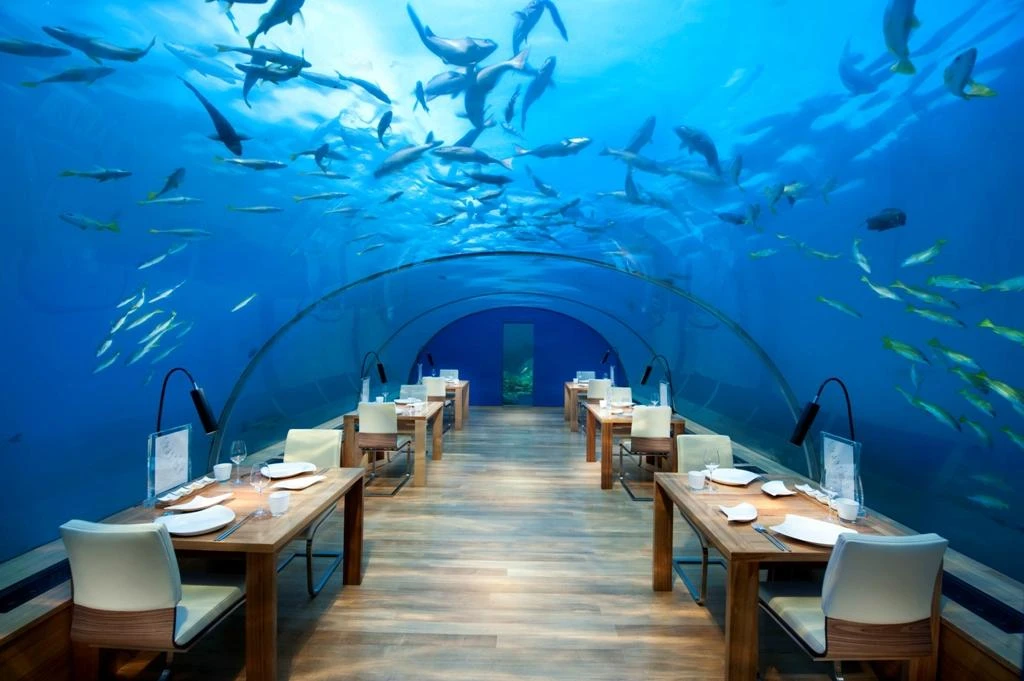 © Tripadvisor Blurred image background
