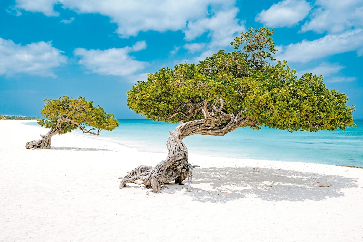 © Aruba Tourism Blurred image background