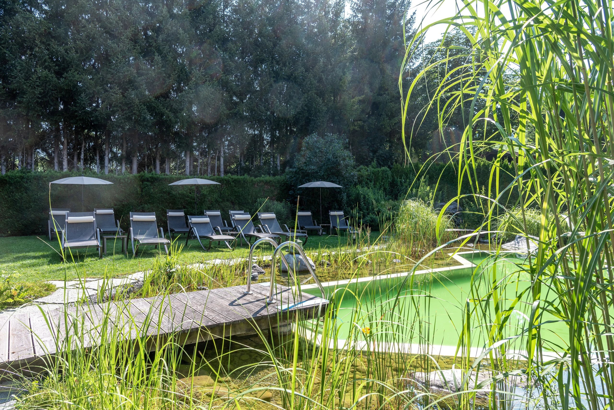 © Hotel Niederreiter Blurred image background