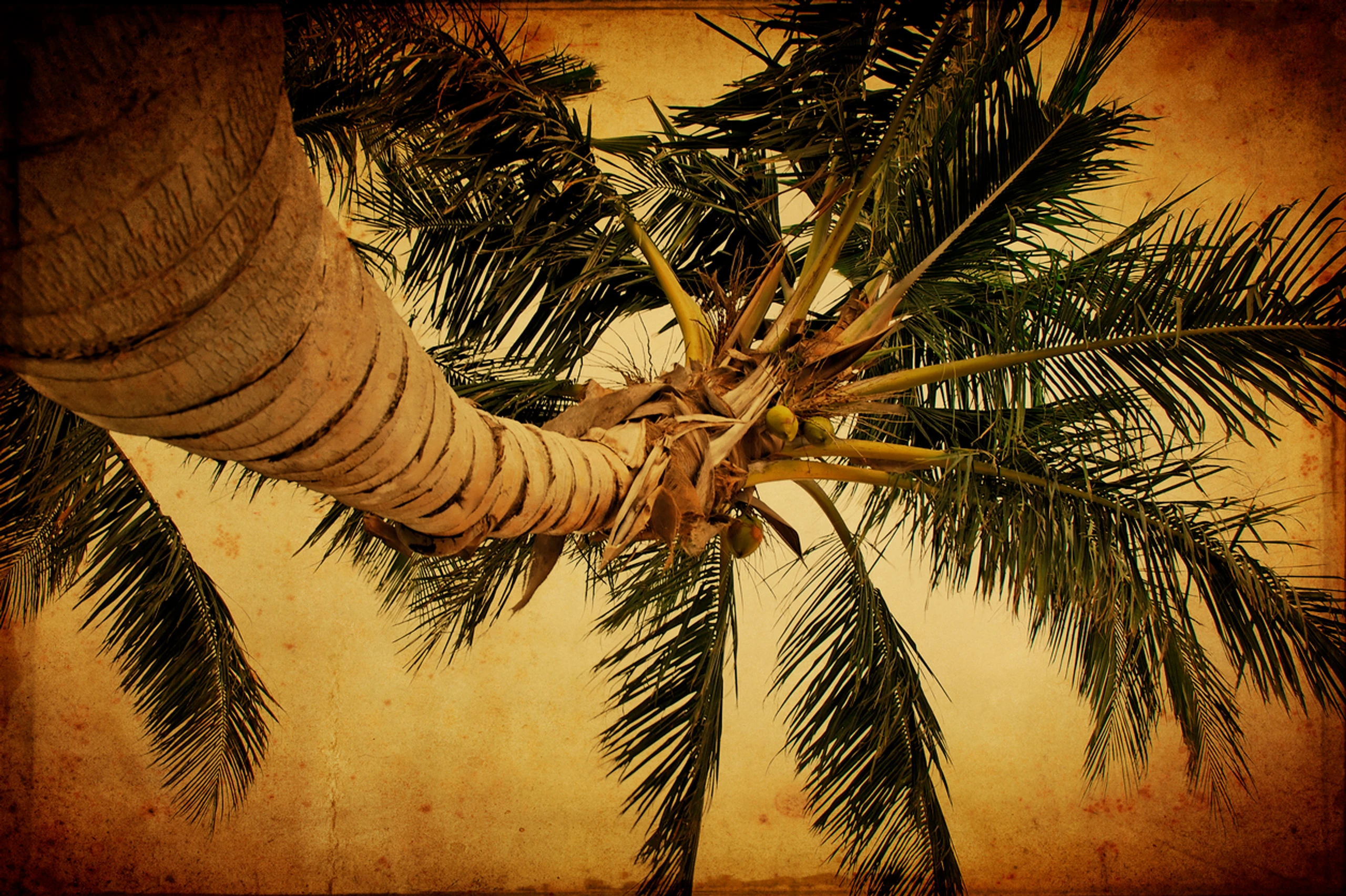 Blurred image background