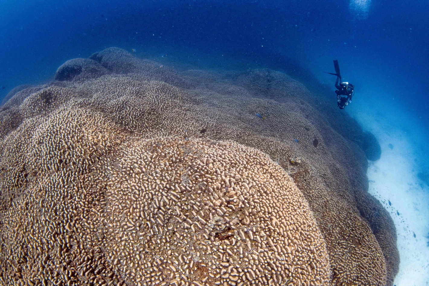 © MANU SAN FELIX / AFP / picturedesk.com Blurred image background