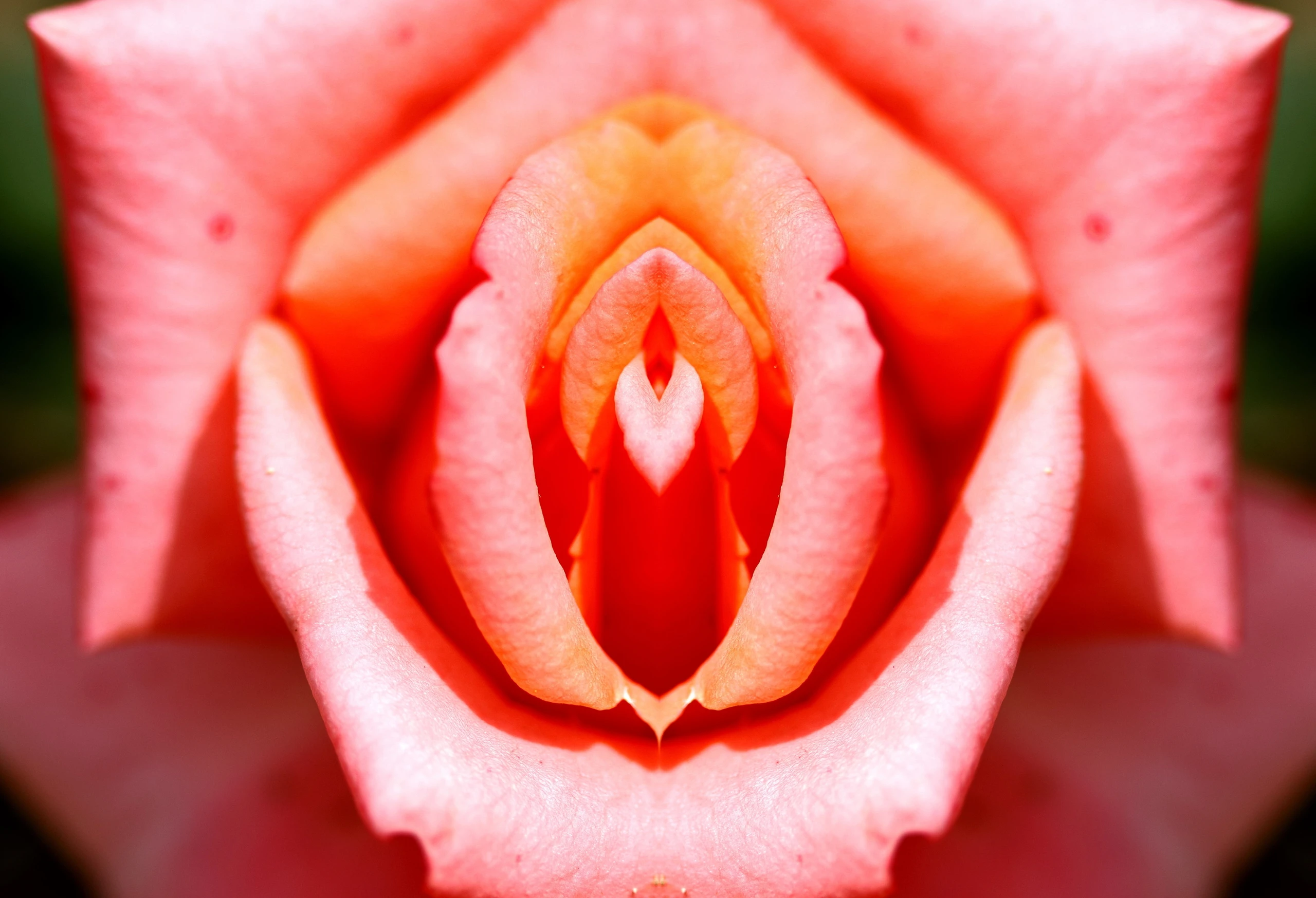 Die Orgasmus-Lücke: Die 5 größten Mythen über Intimität