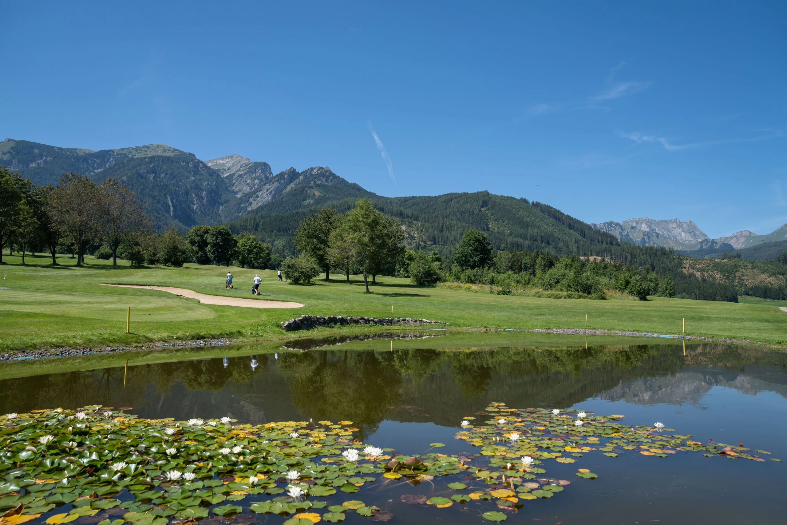 Blurred image background