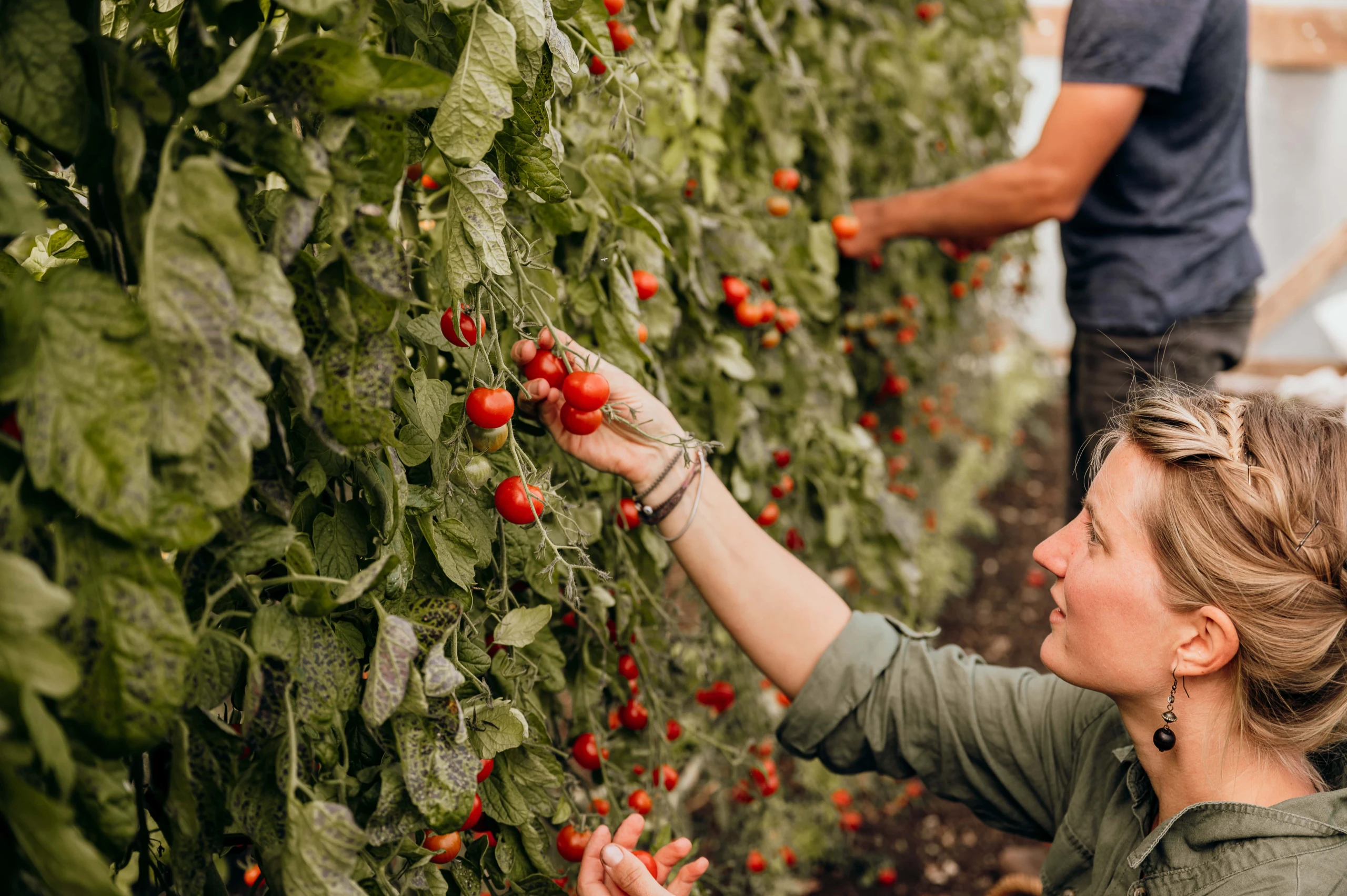 Blurred image background