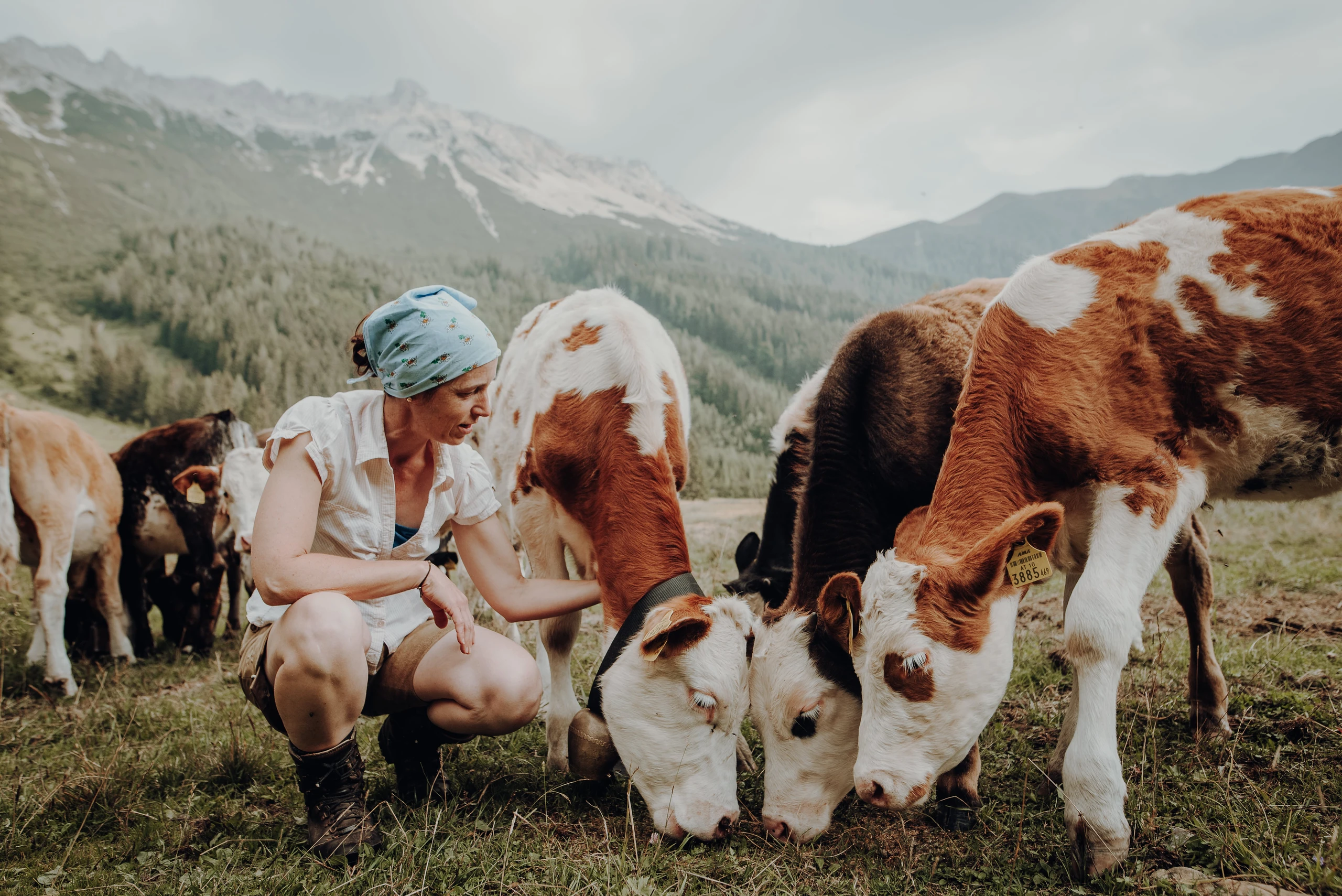 Blurred image background