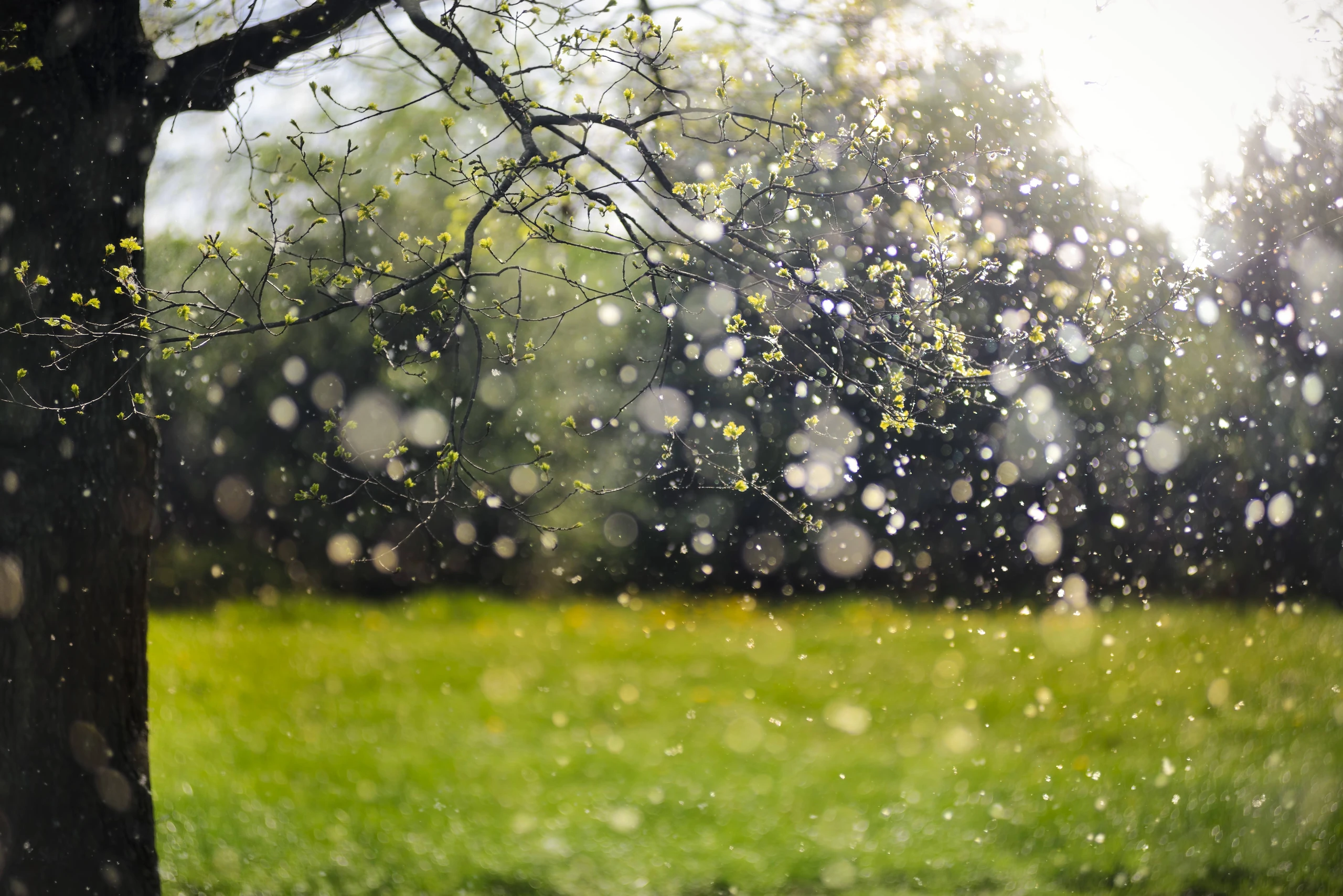 © imago / Christian Ohde Blurred image background