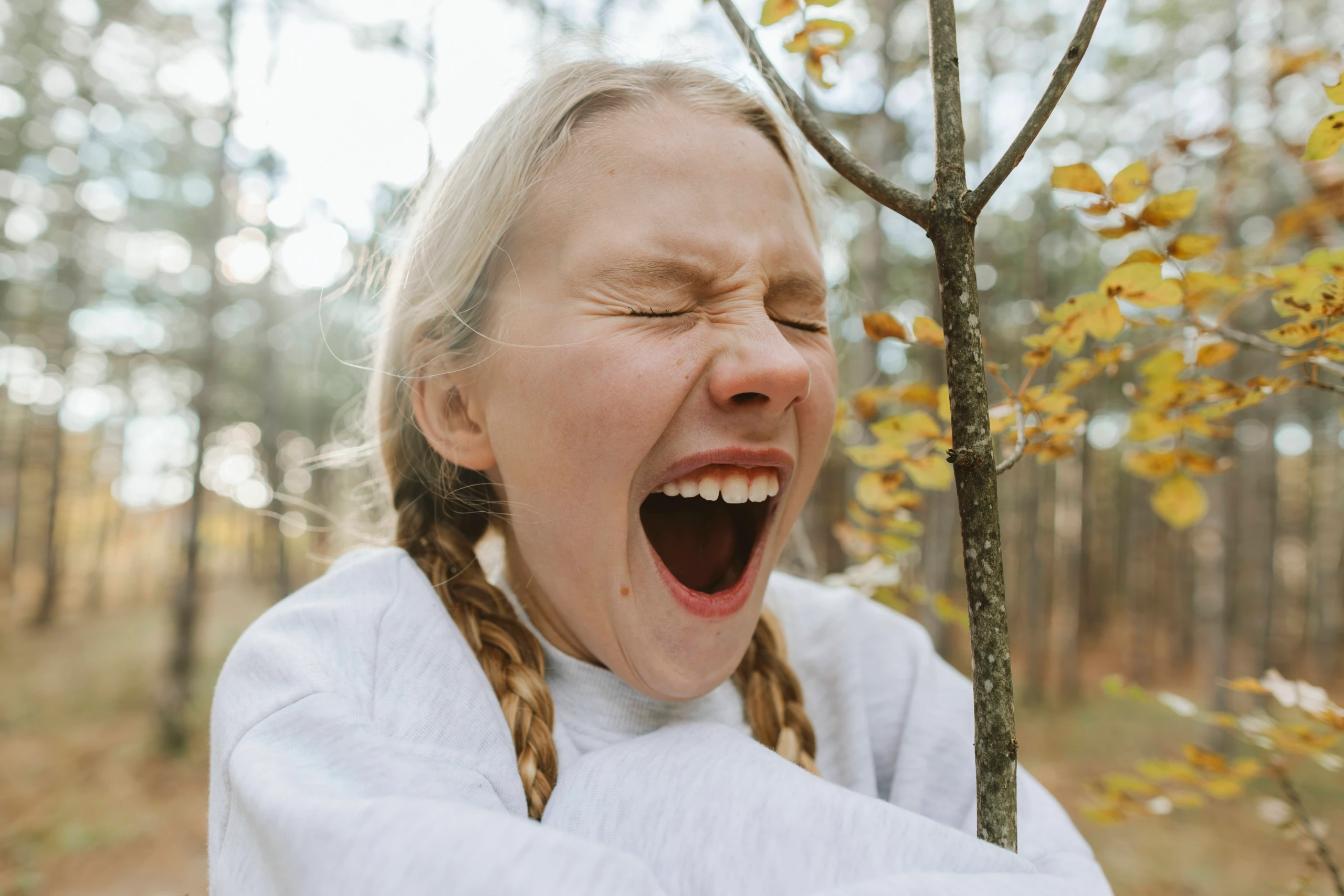 Blurred image background