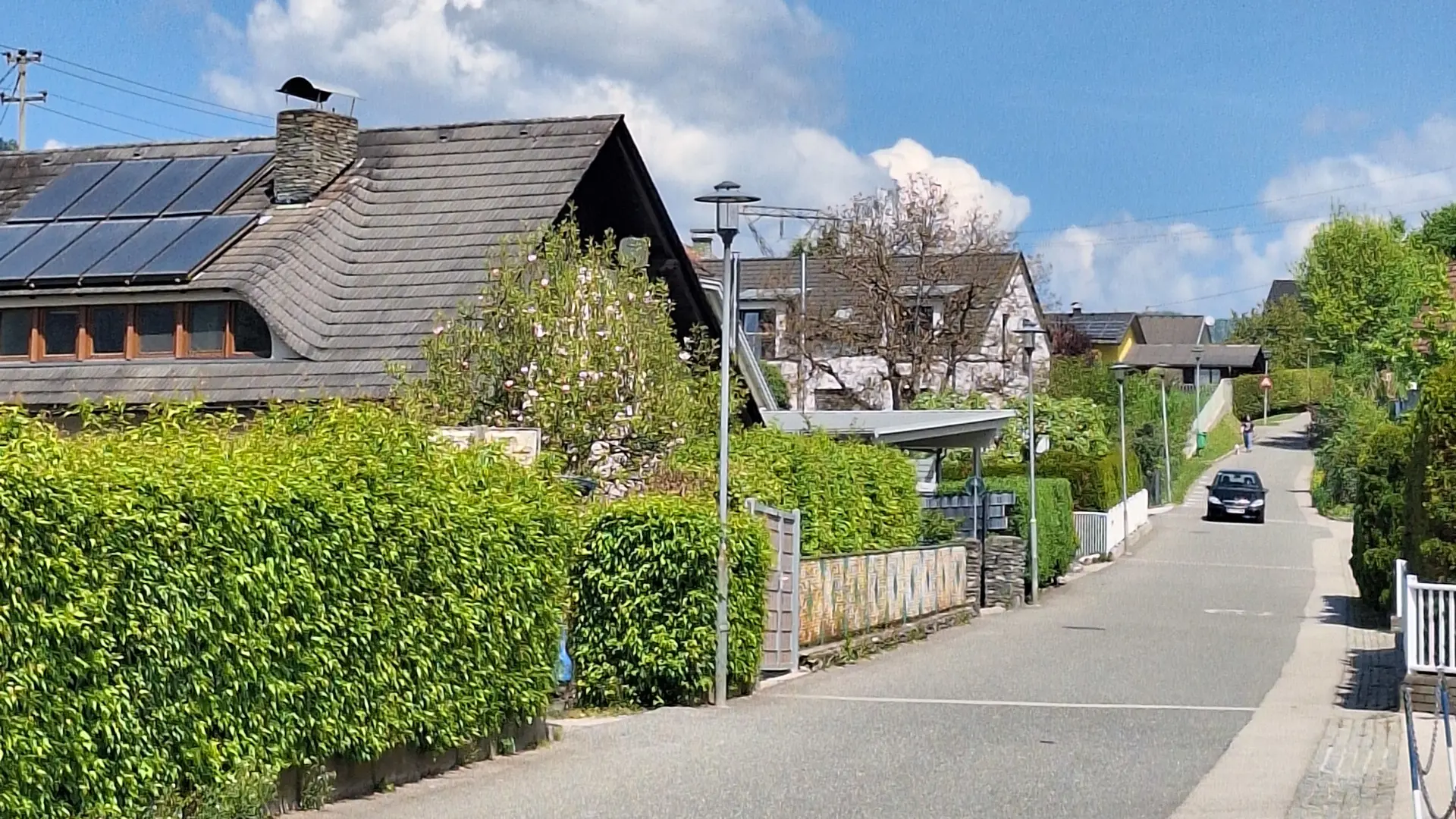 Artikelbild