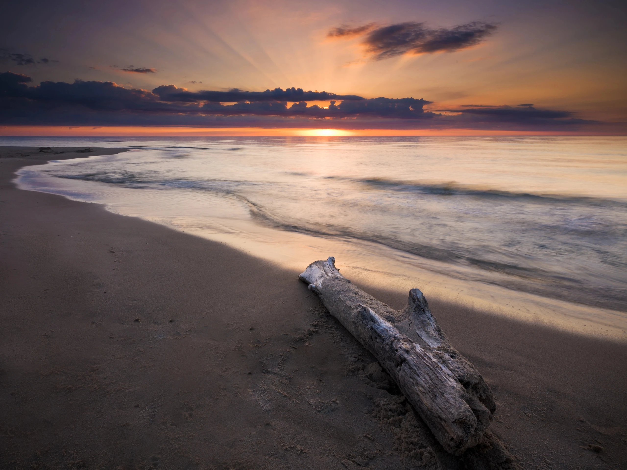 Blurred image background