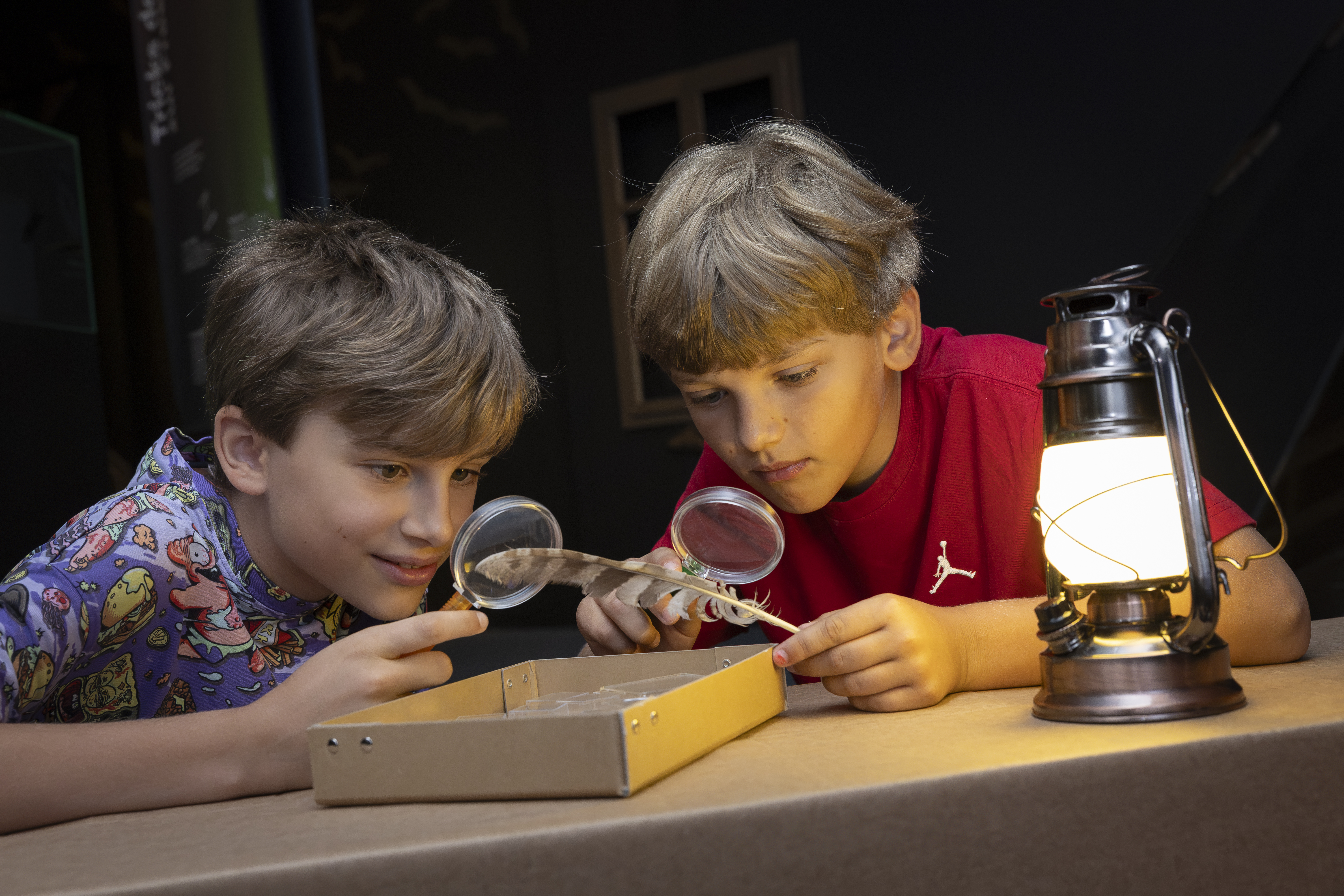 Blurred image background