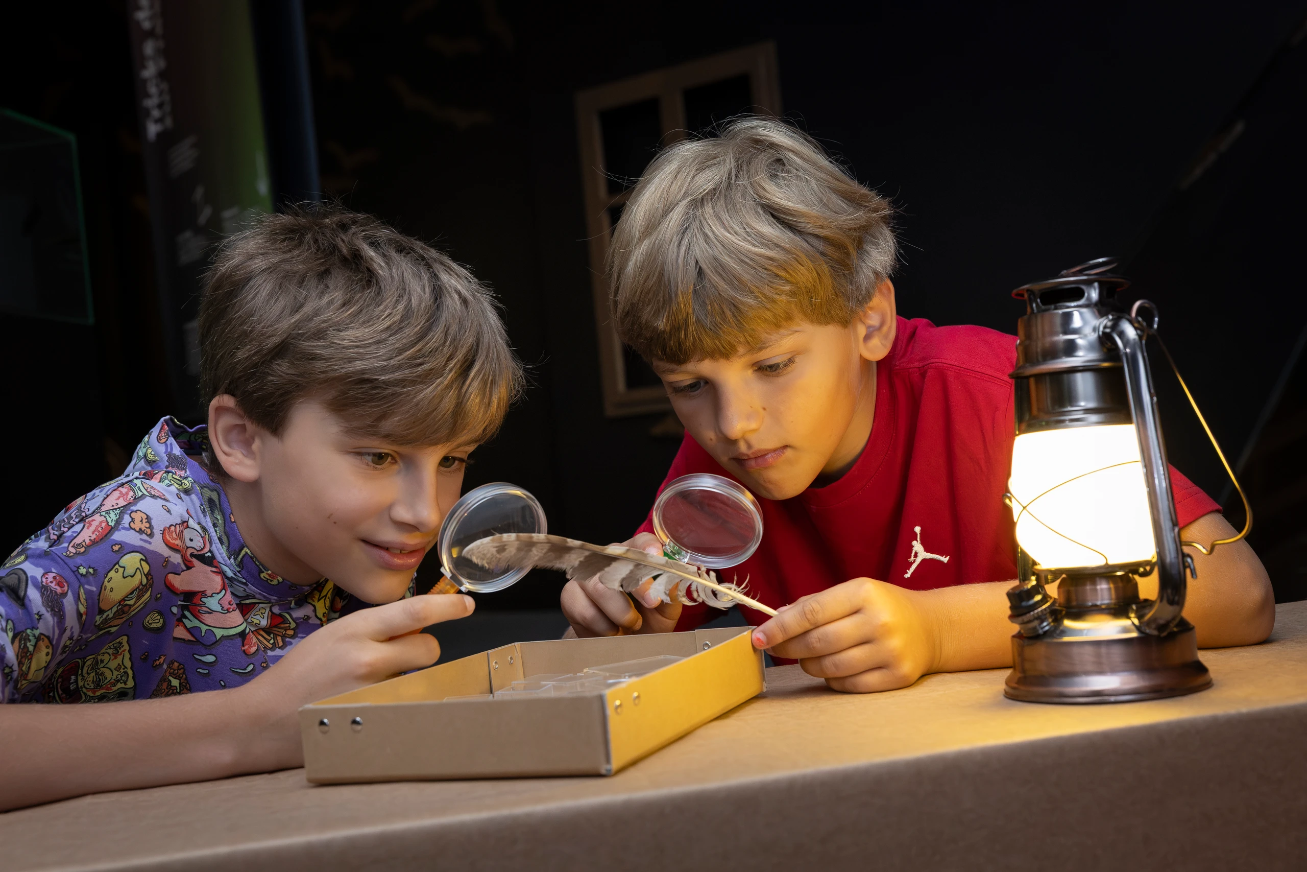 © NÖ Museum Betriebs GmbH, Theo Kust Blurred image background