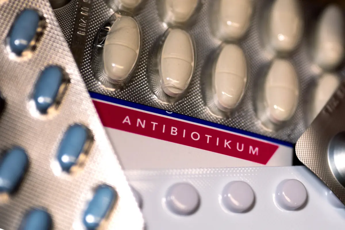 Forscher suchten in großer Studie nach Antibiotika-Resistenzgenen