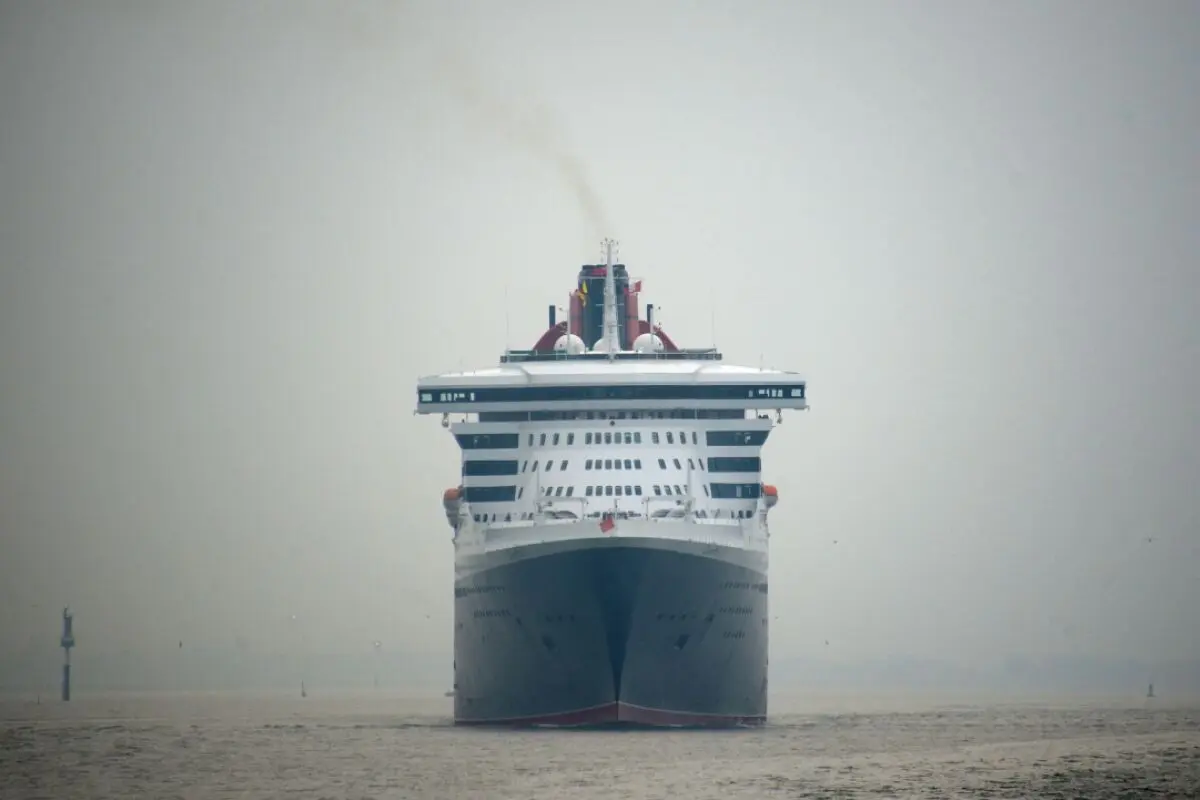 Noroviren verursachen jährlich Schäden von etwa 60 Mrd. USD