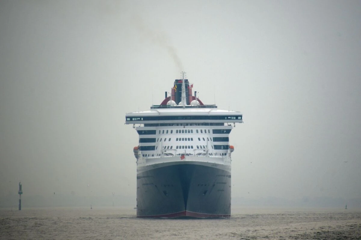 Noroviren verursachen jährlich Schäden von etwa 60 Mrd. USD