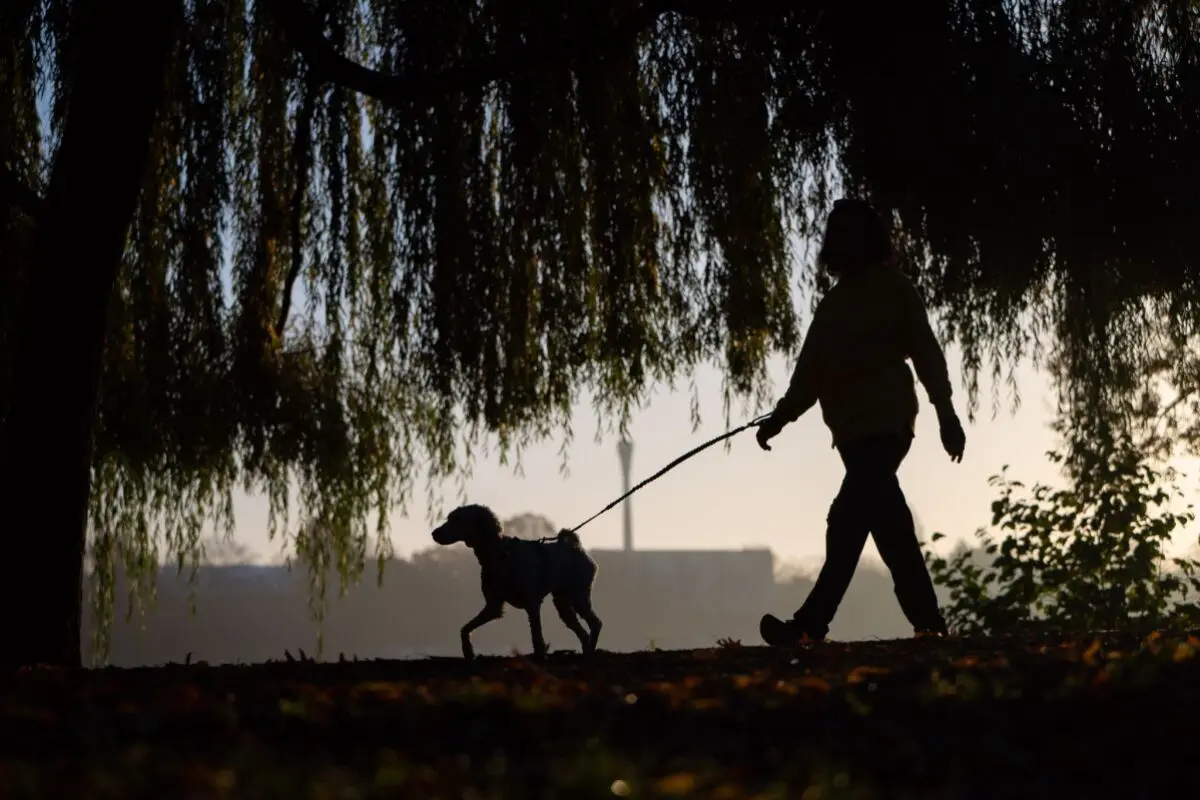 Sehr viele Menschen weltweit bewegten sich zu wenig