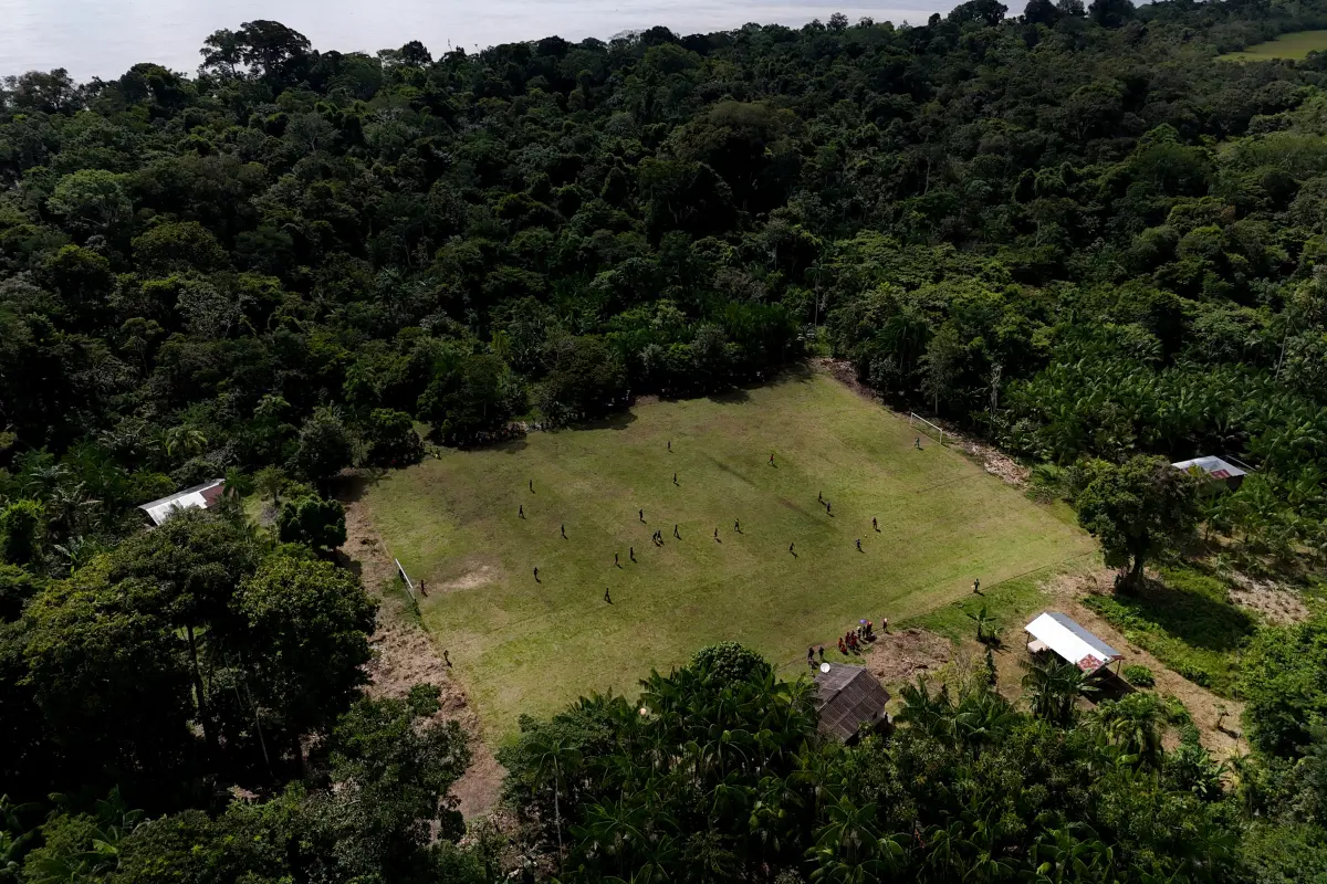 Amazonas-Regenwald in Brasilien