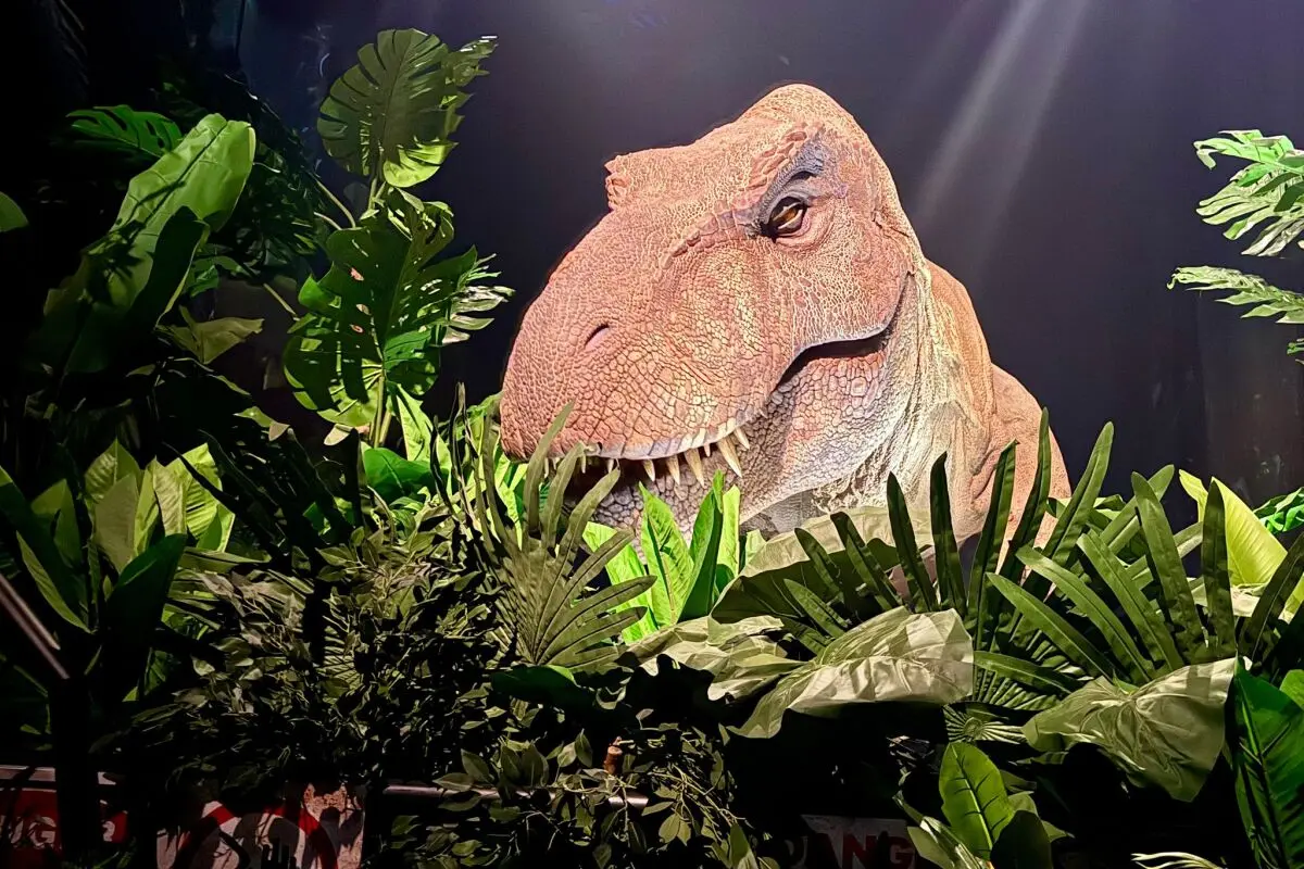 Besucher können auch den fiktiven Indominus Rex bestaunen