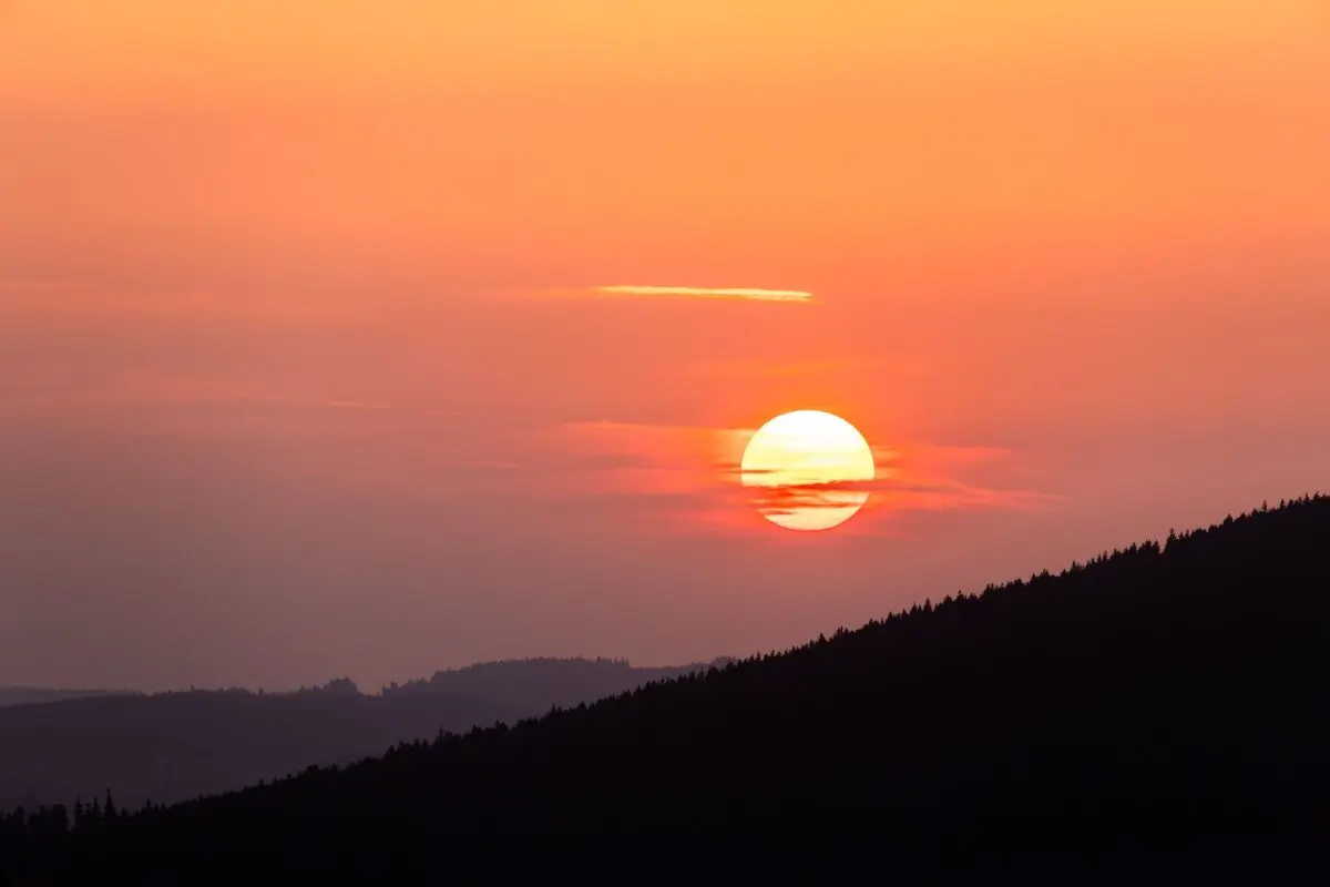 Teilweise wurden Baumstämme aus dem Schwarzwald herbeigeschafft