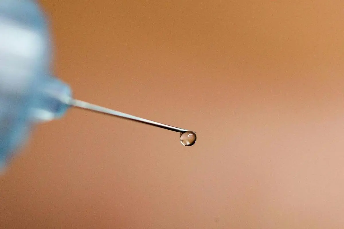 ++ ARCHIVBILD ++ Zumindest ein Viertel der Probanden ohne Krankheitszeichen