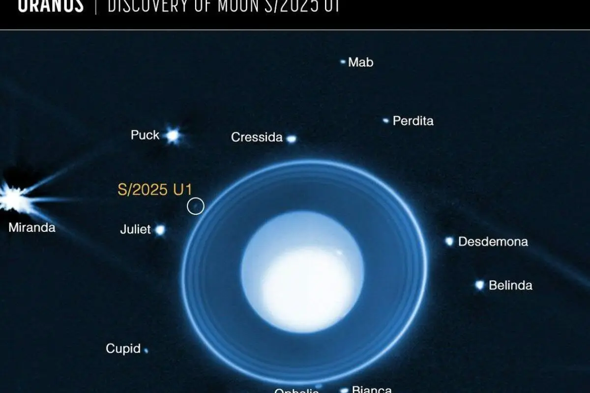 "Es ist ein kleiner Mond, aber eine bedeutende Entdeckung"