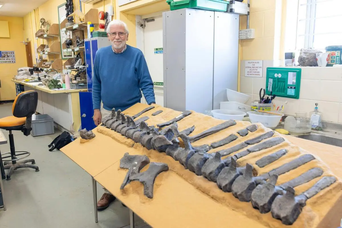 Jeremy Lockwood vom Natural History Museum in London