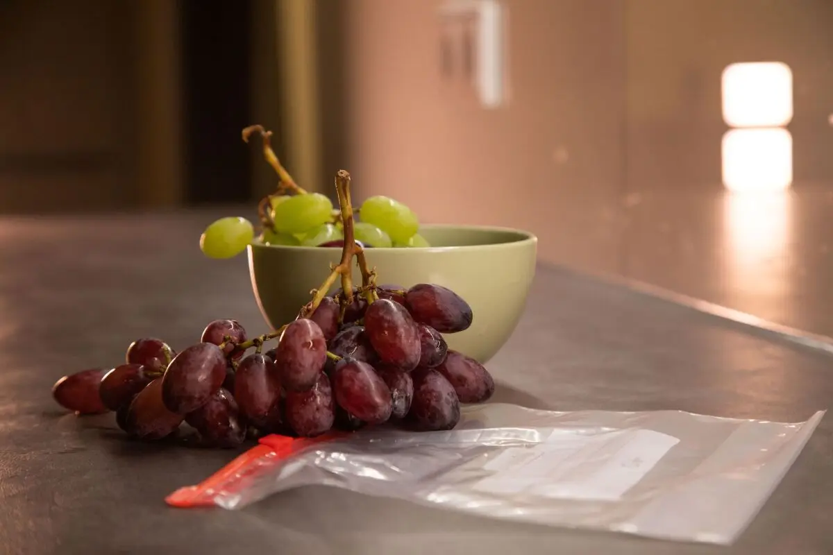 Weintrauben schmecken im Joghurt, im Kompott oder im Obstsalat