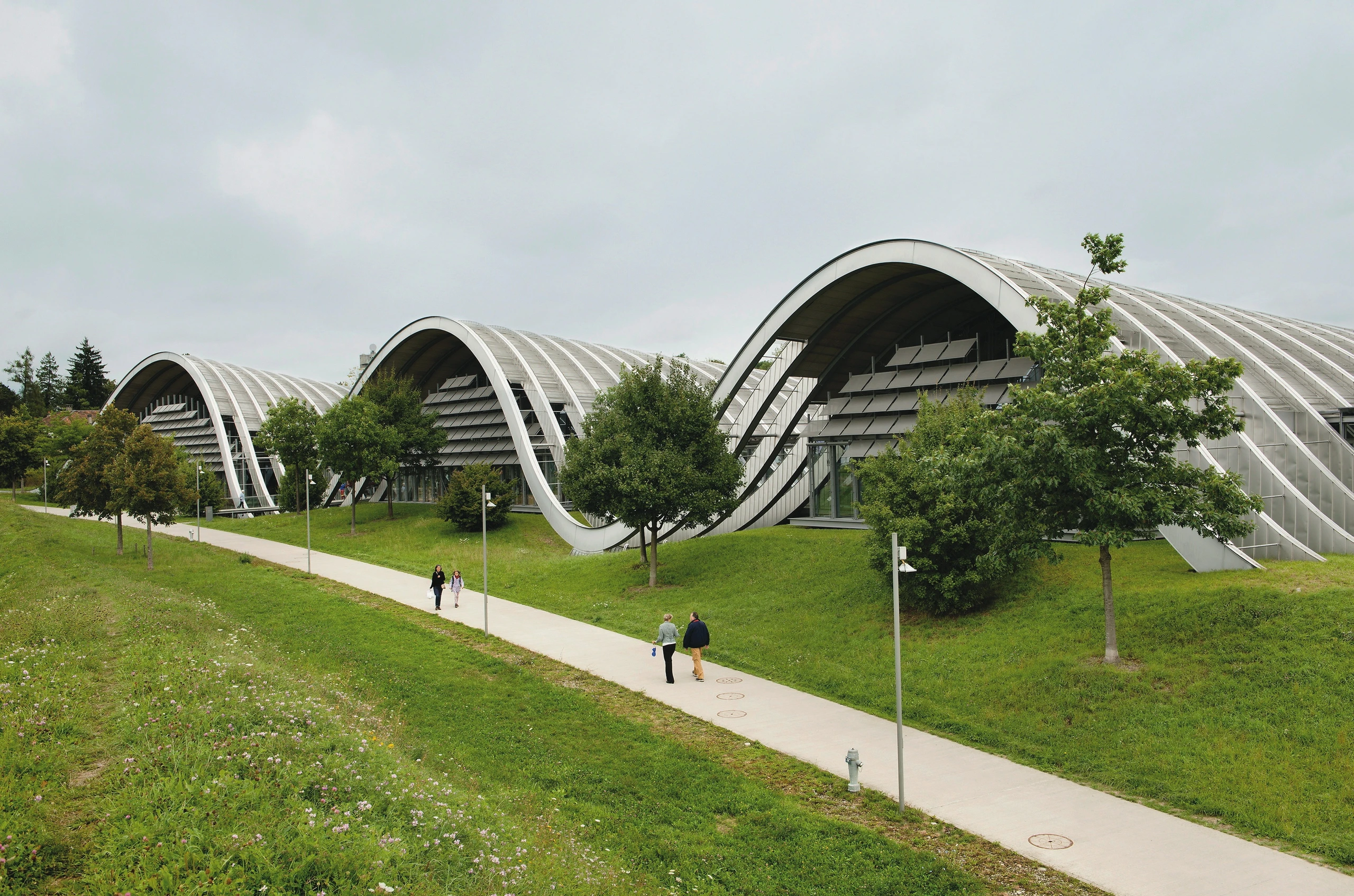 Blurred image background