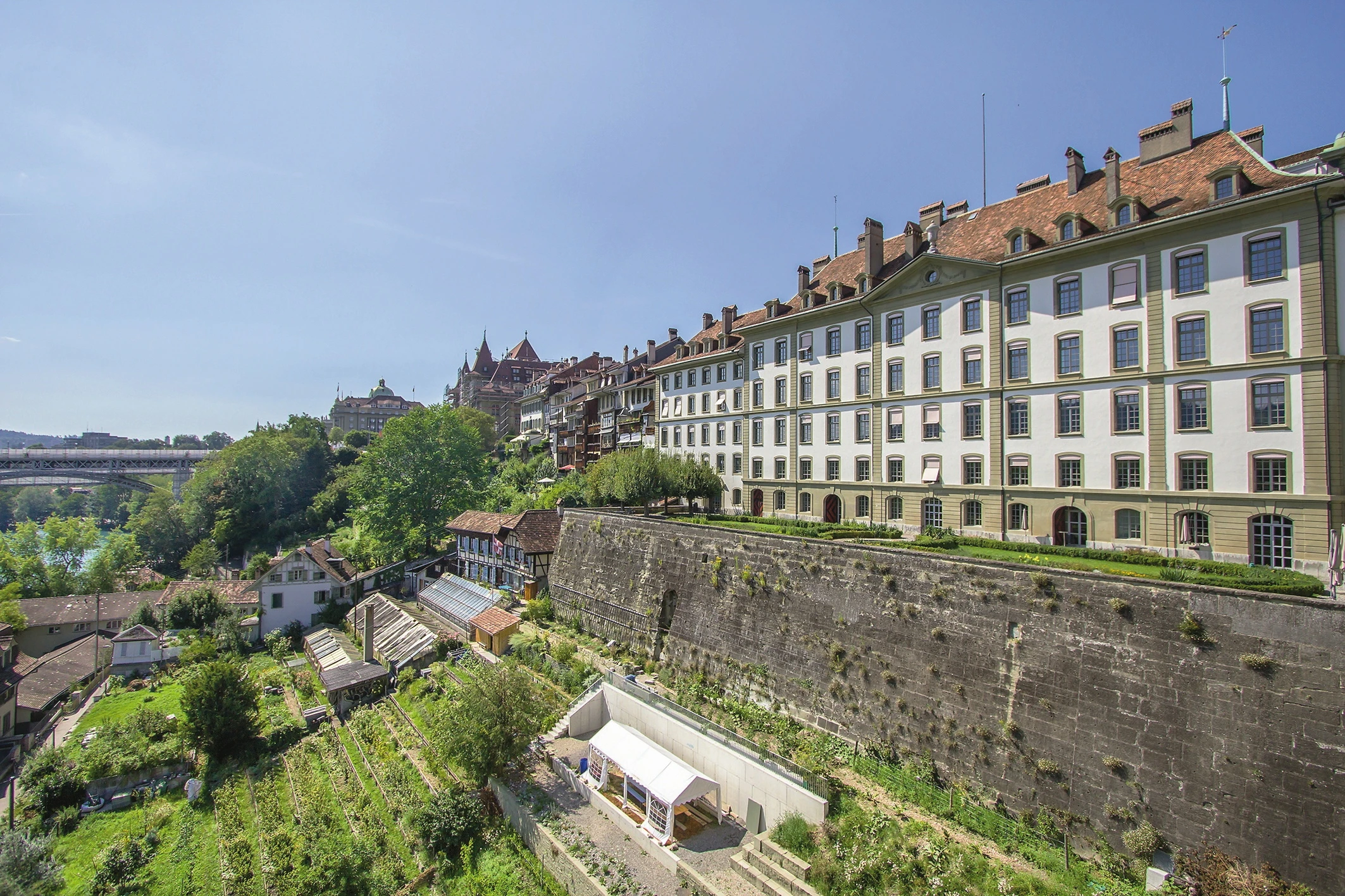 Blurred image background