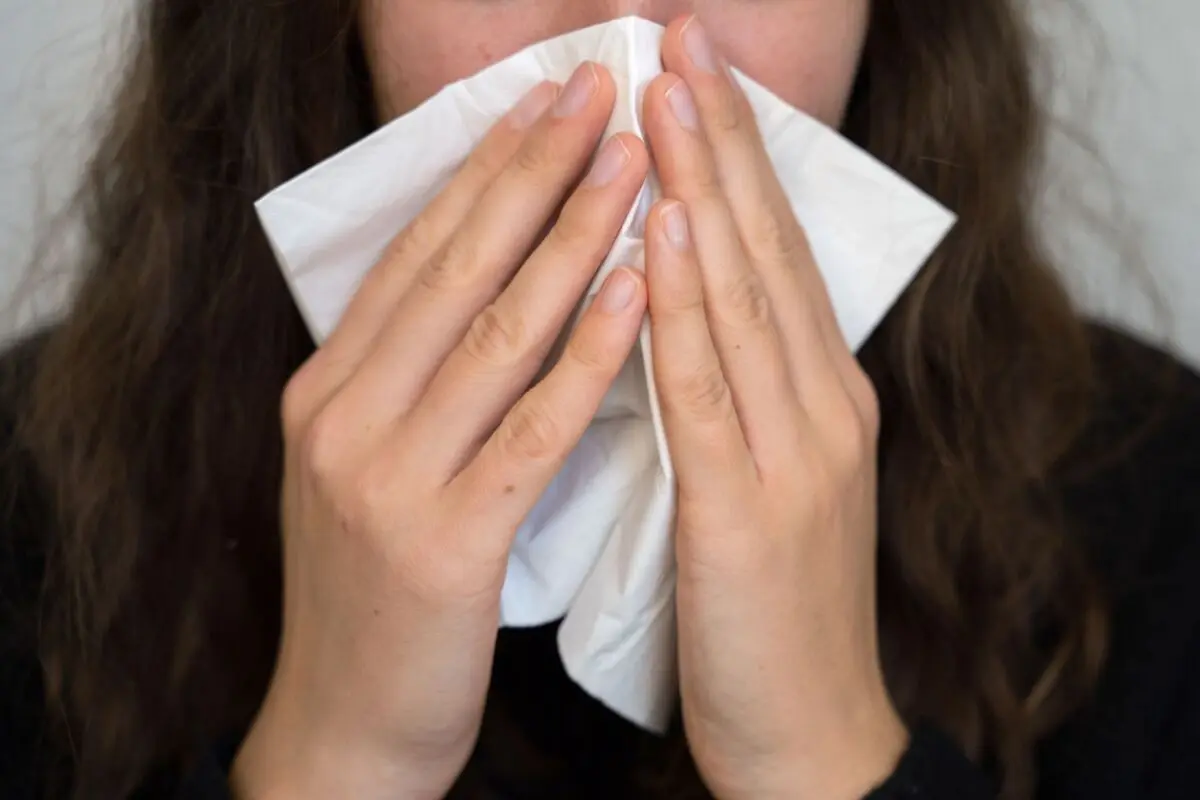 Wer schnäuzt, sollte das Taschentuch nur einmal verwenden