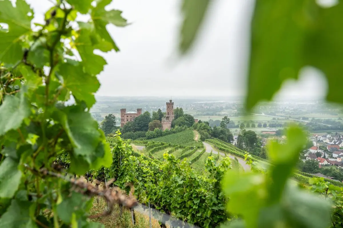 Alte Granitböden geben den Weinen besondere mineralische Tiefe