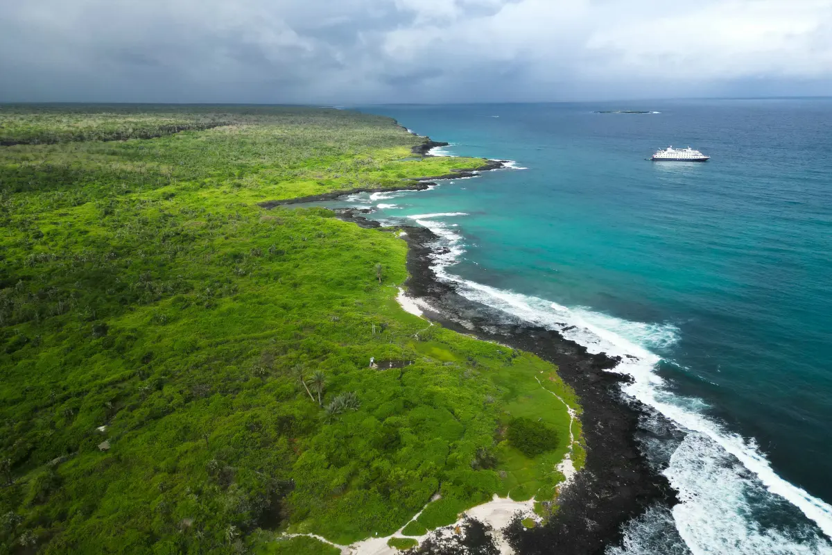Hauptgrund war eine beispiellose Erwärmung der Ozeane