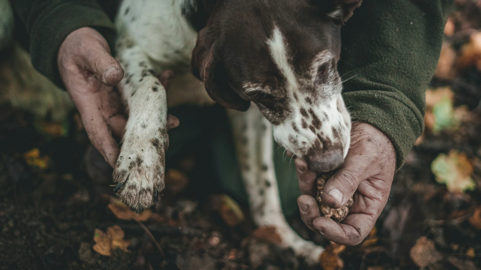 © Unsplash / Andrea Cairone Blurred image background